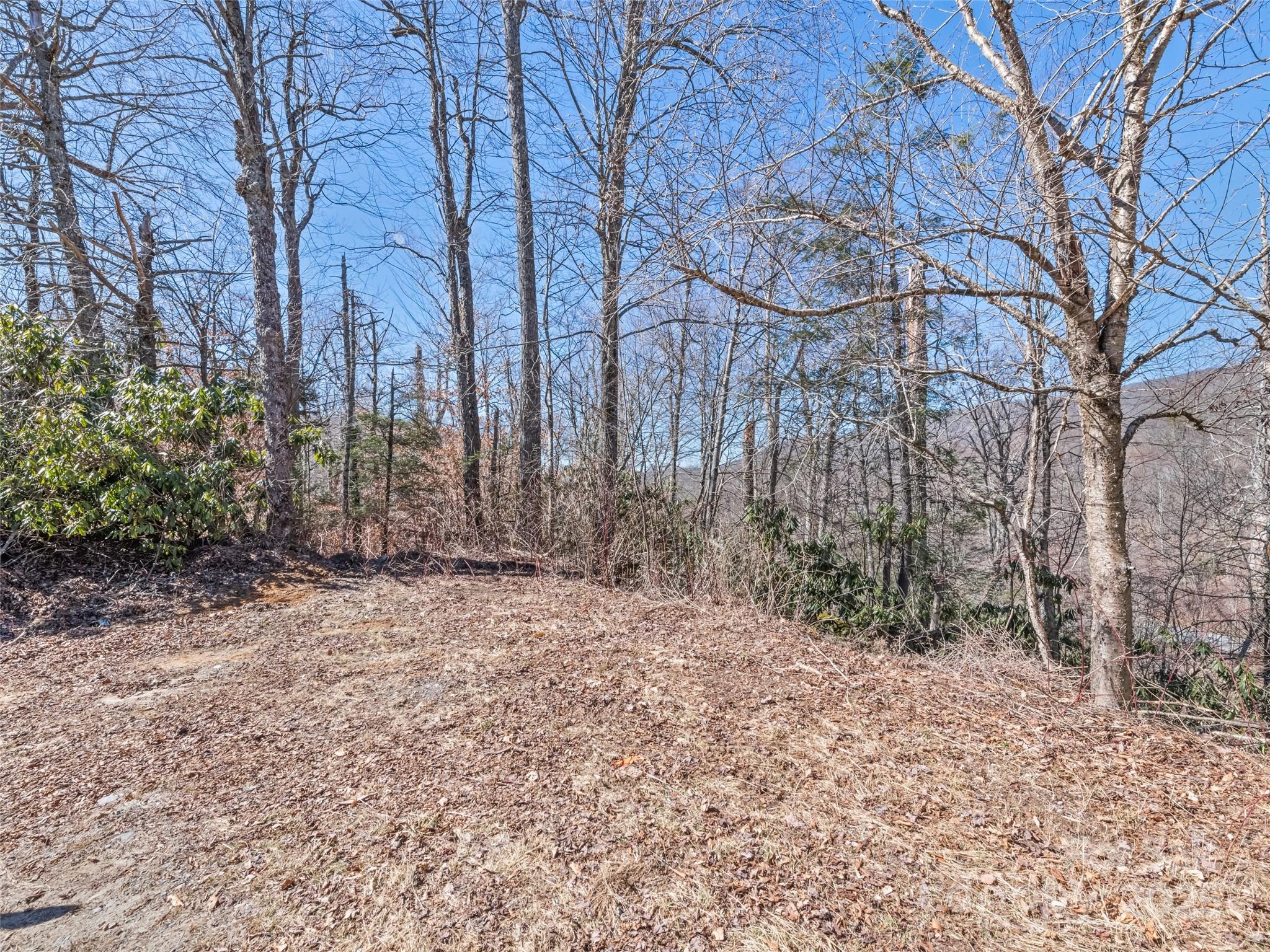 Cranberry Falls - Land