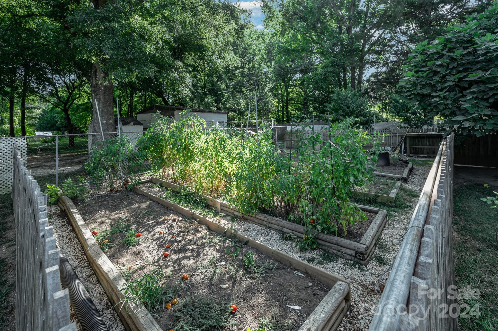 Cedar Forest Acres - Residential