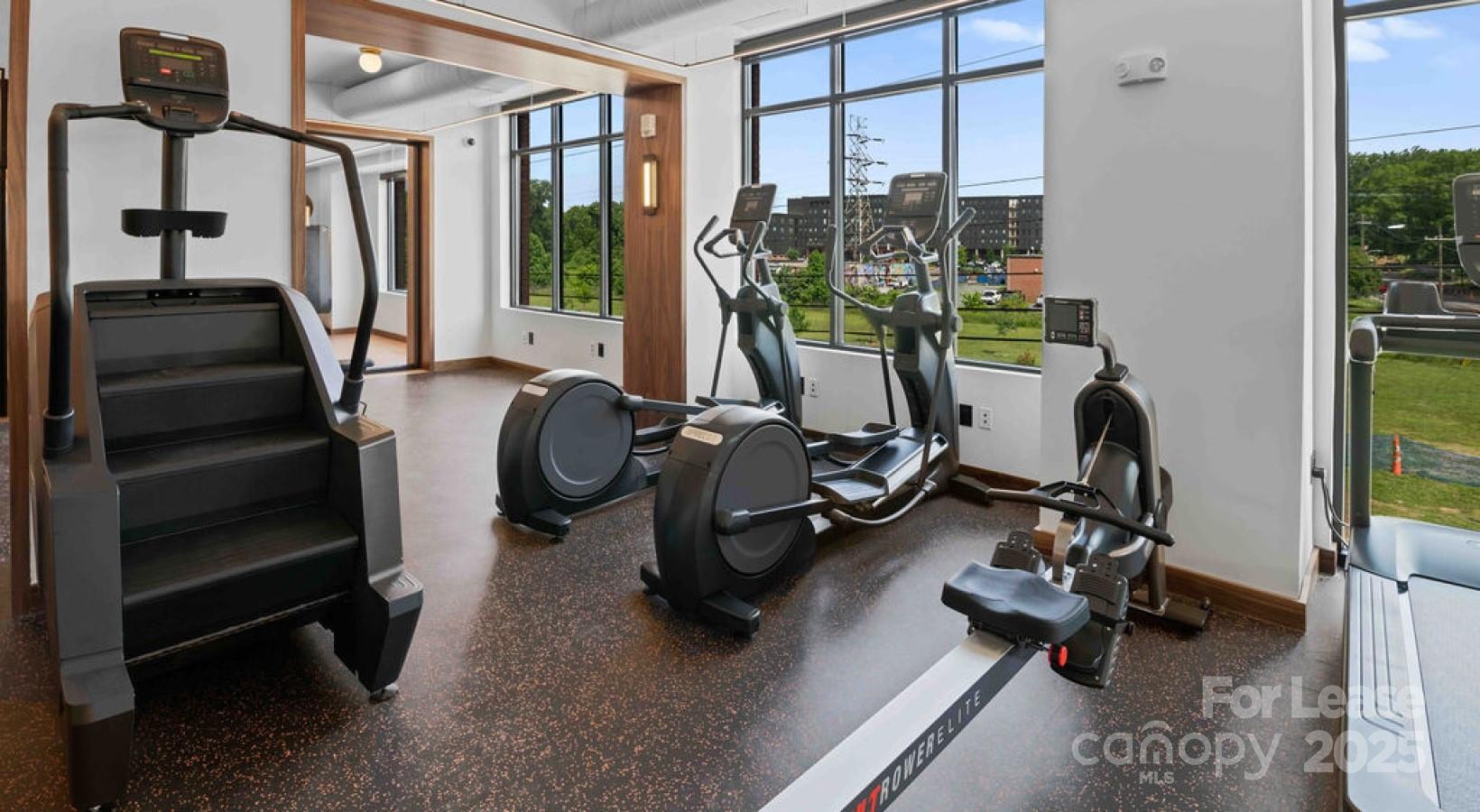 Charlotte, North Carolina 28206, United States, 3 Bedrooms Bedrooms, ,2 BathroomsBathrooms,Residential,Active,129596