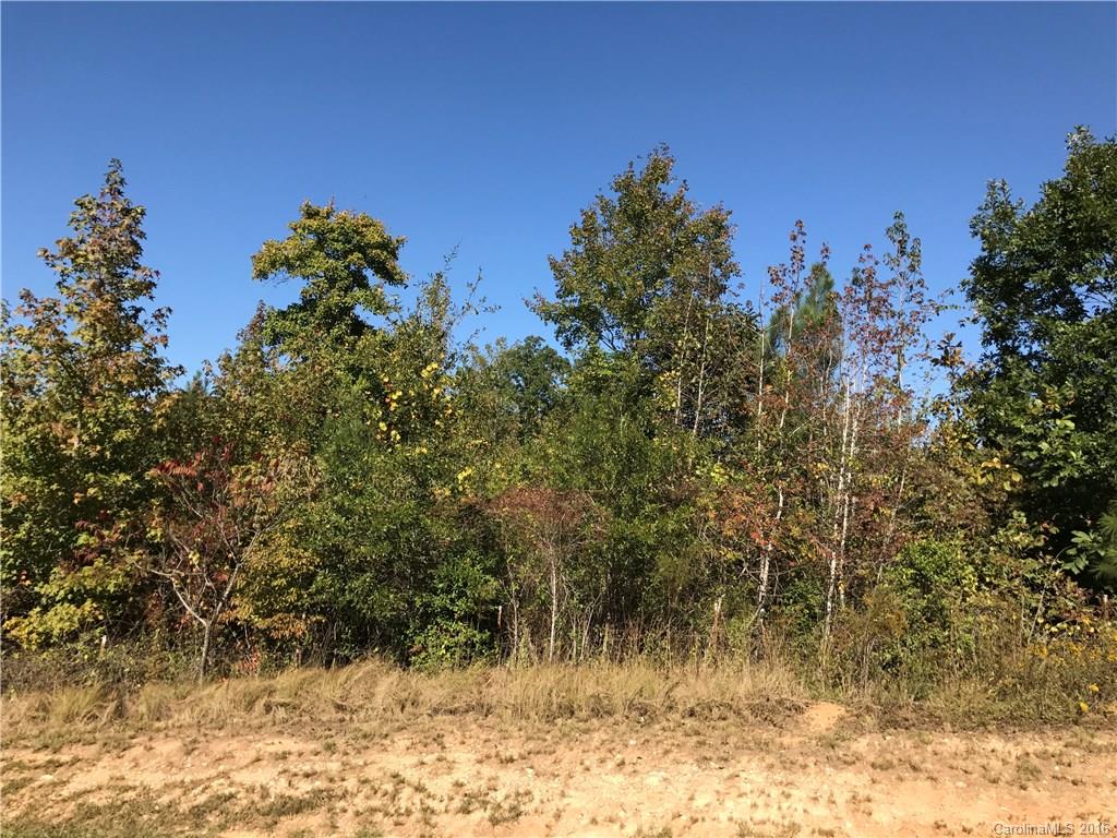 Catawba Shores Estates - Land