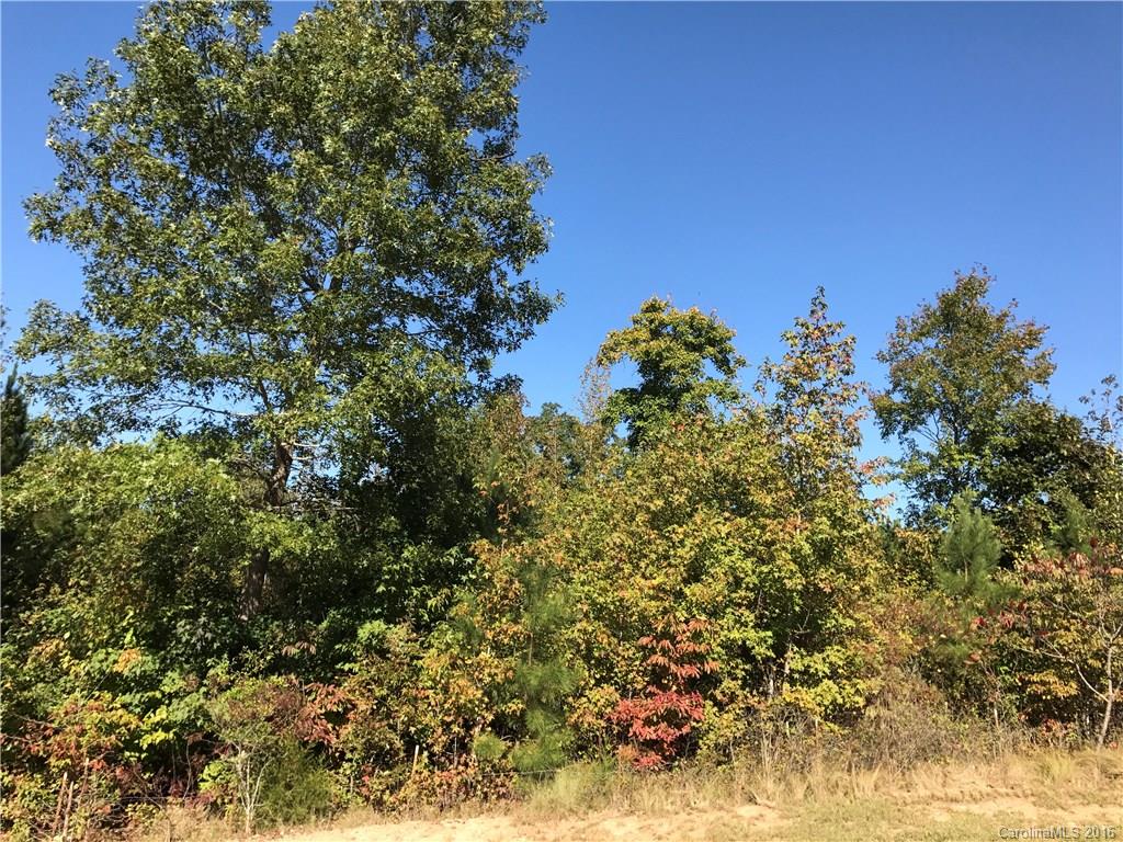 Catawba Shores Estates - Land