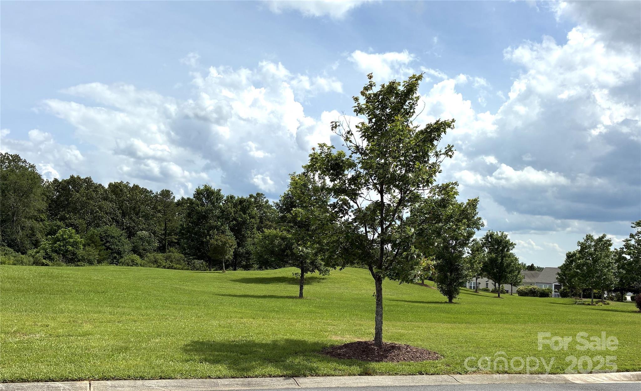 31470 Royal Tern Lane