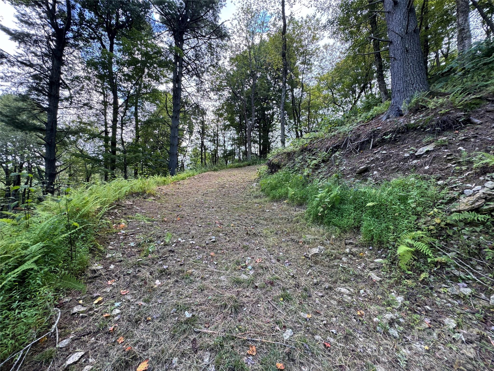 Sorrento Woods - Land