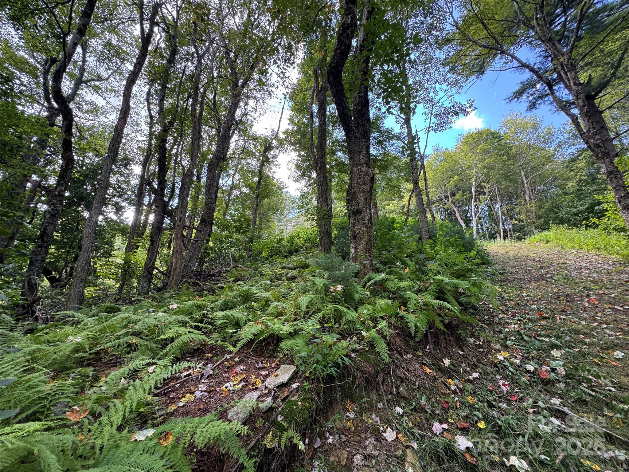 Sorrento Woods - Land