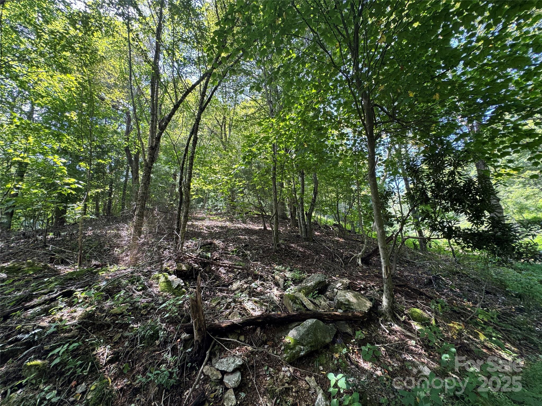 Sorrento Woods - Land