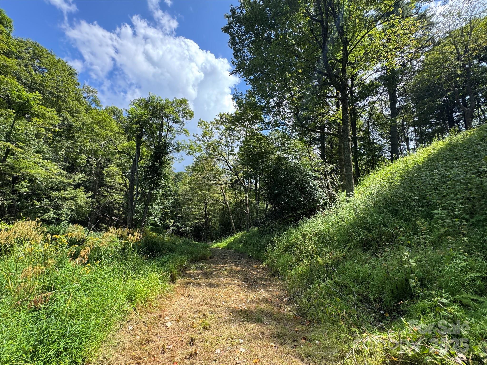 Sorrento Woods - Land