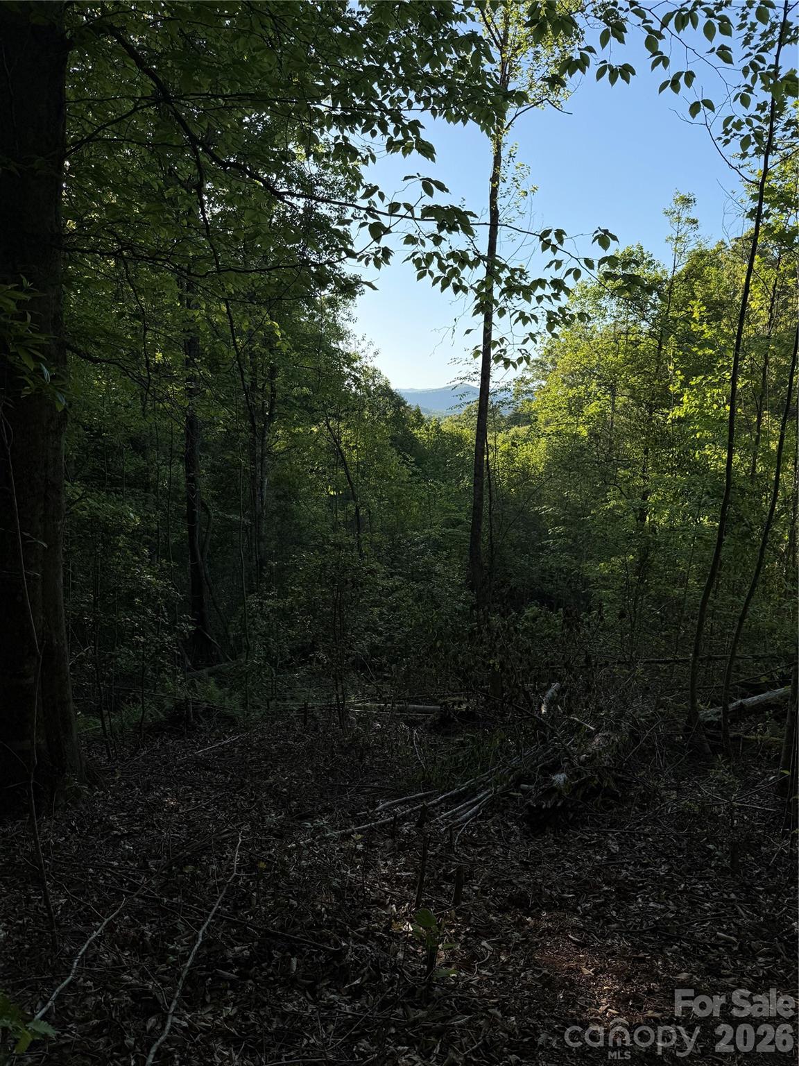 MASTERPIECE MEADOWS - Land
