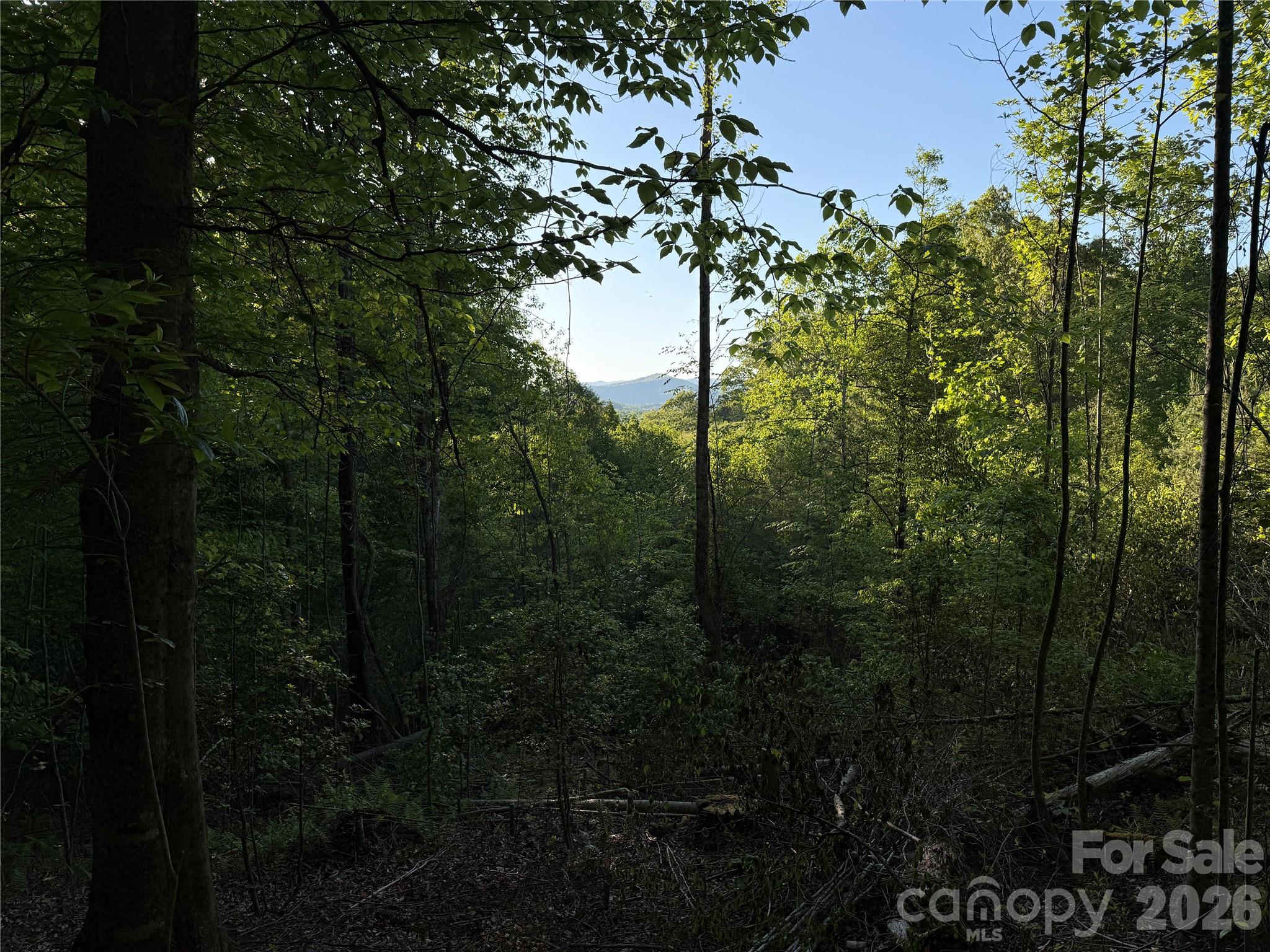MASTERPIECE MEADOWS - Land