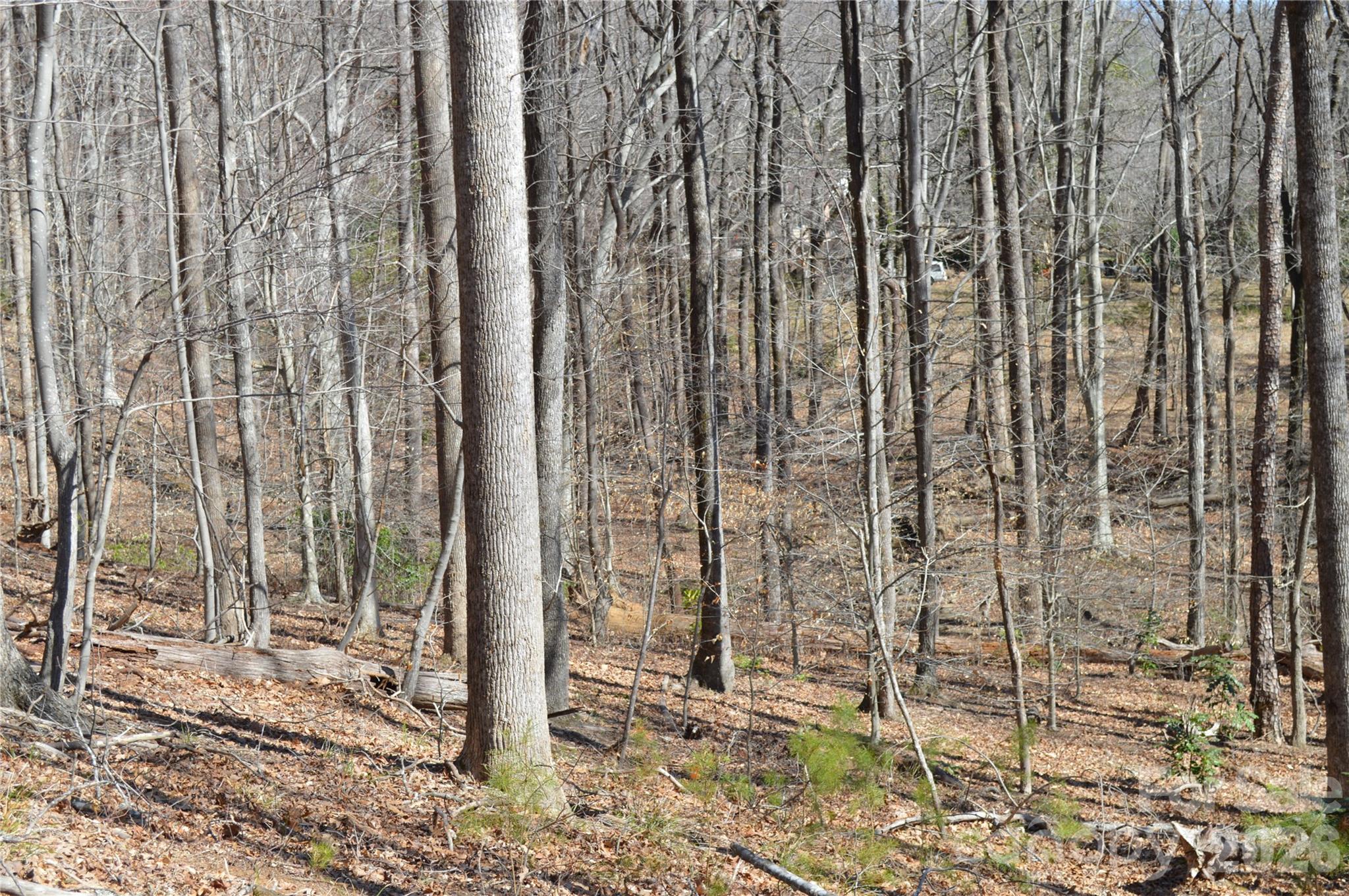 Mountain Shadows - Land