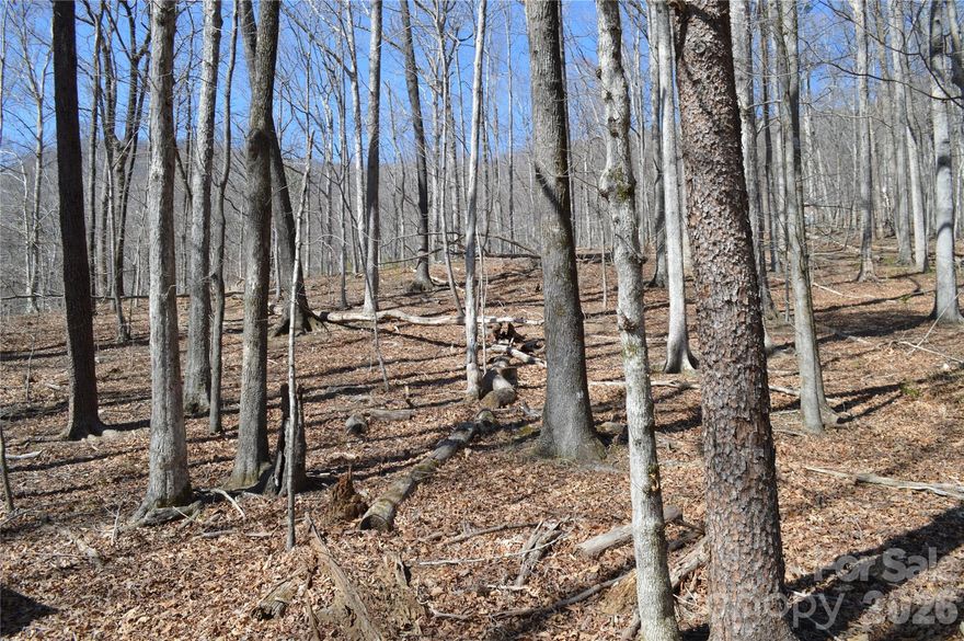 This exceptional wooded lot has a lot to offer!  Very buildable with mostly hardwoods and winter views of the surrounding hillsides and a meandering creek that is located partially on one side of the lot.  There are plenty of options to site a home and there is a well in place that is likely artesian and currently is producing running water.  The road is gravel and partially paved.  There is no HOA in place, however the property owners contribute to its upkeep according to the current owner.  The current owner applied for a septic permit when it was purchased and a copy of the permit has been requested from the Health Department.