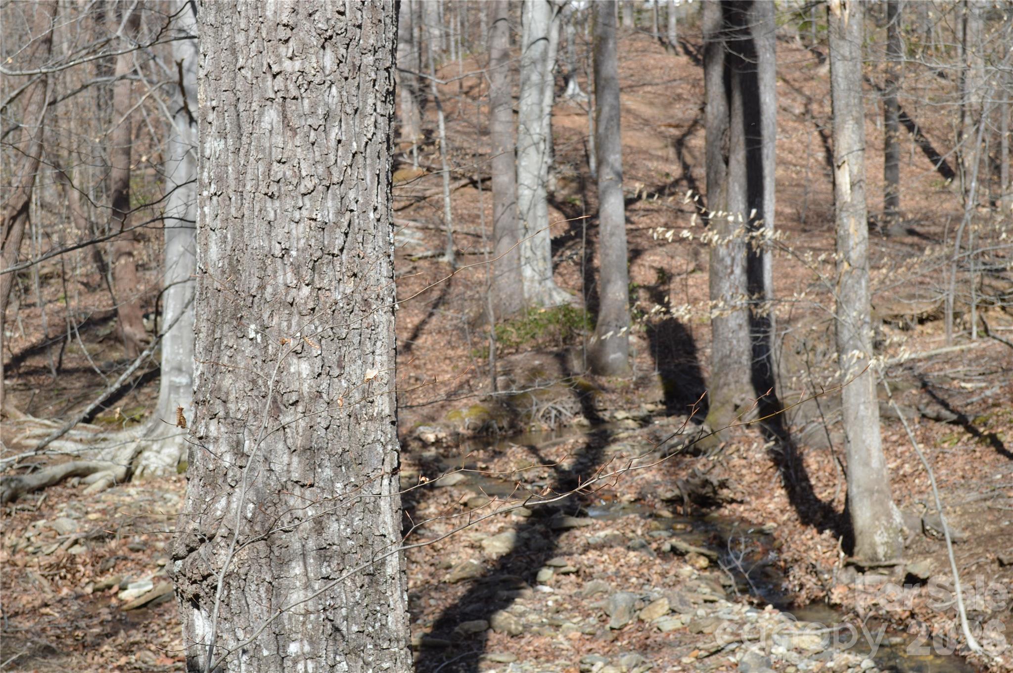 00 Shadow Creek Lane