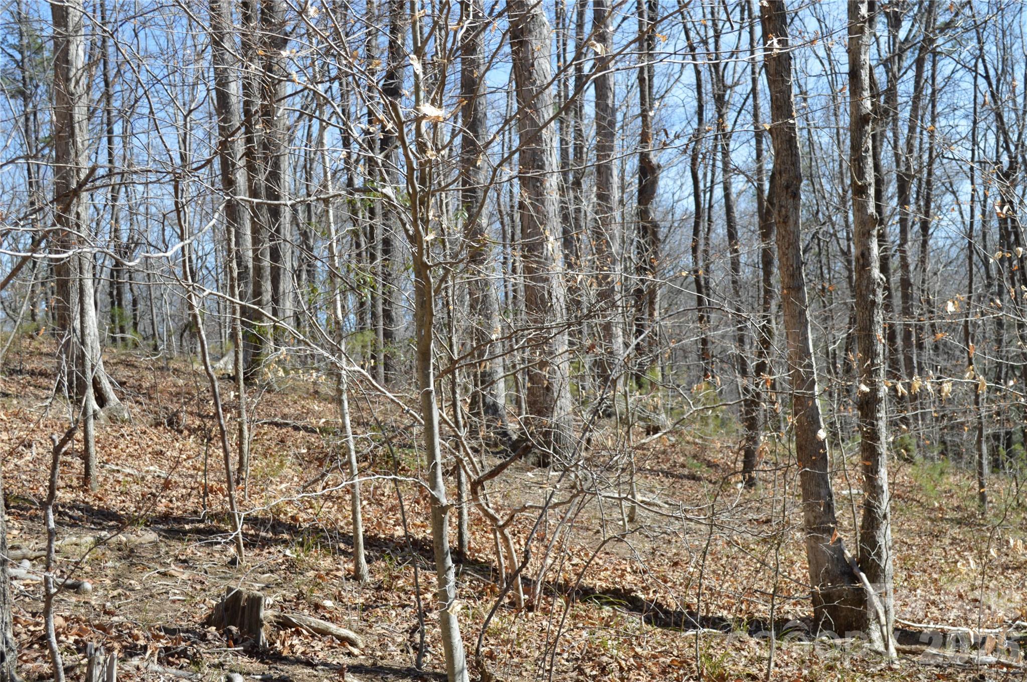 Mountain Shadows - Land