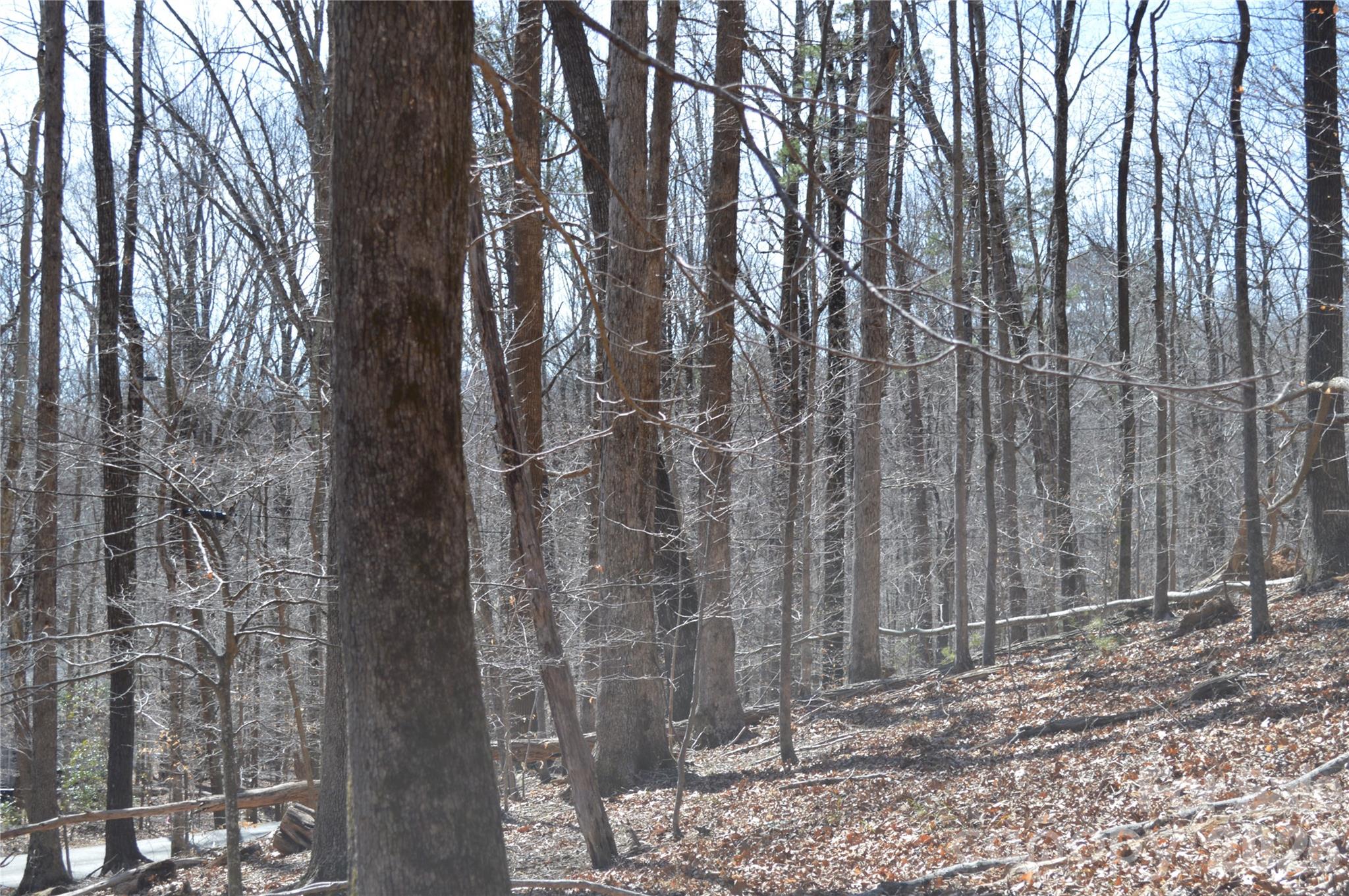 00 Shadow Creek Lane