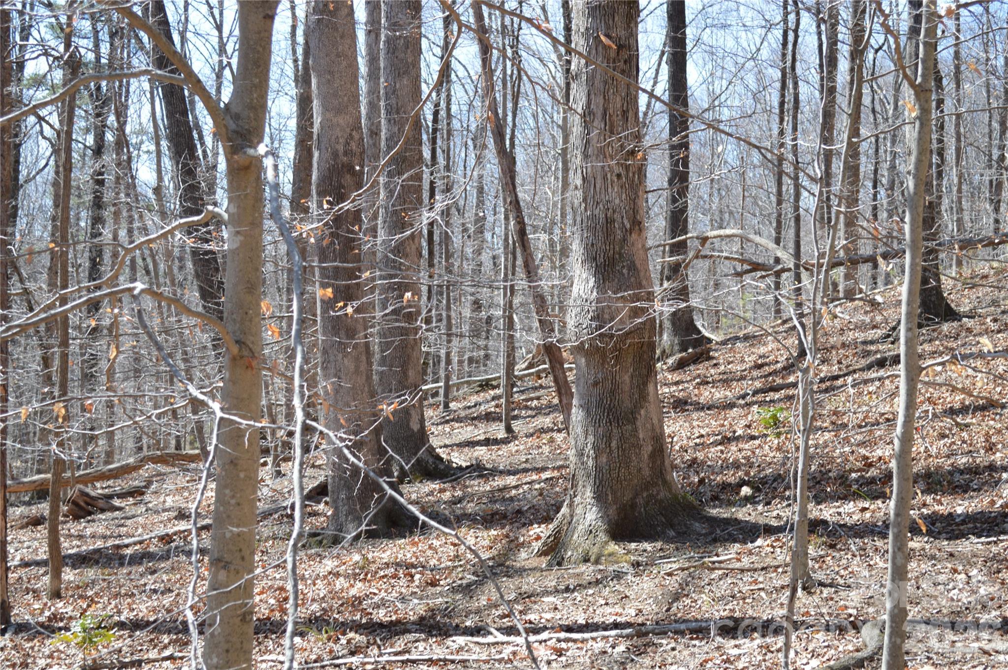 00 Shadow Creek Lane