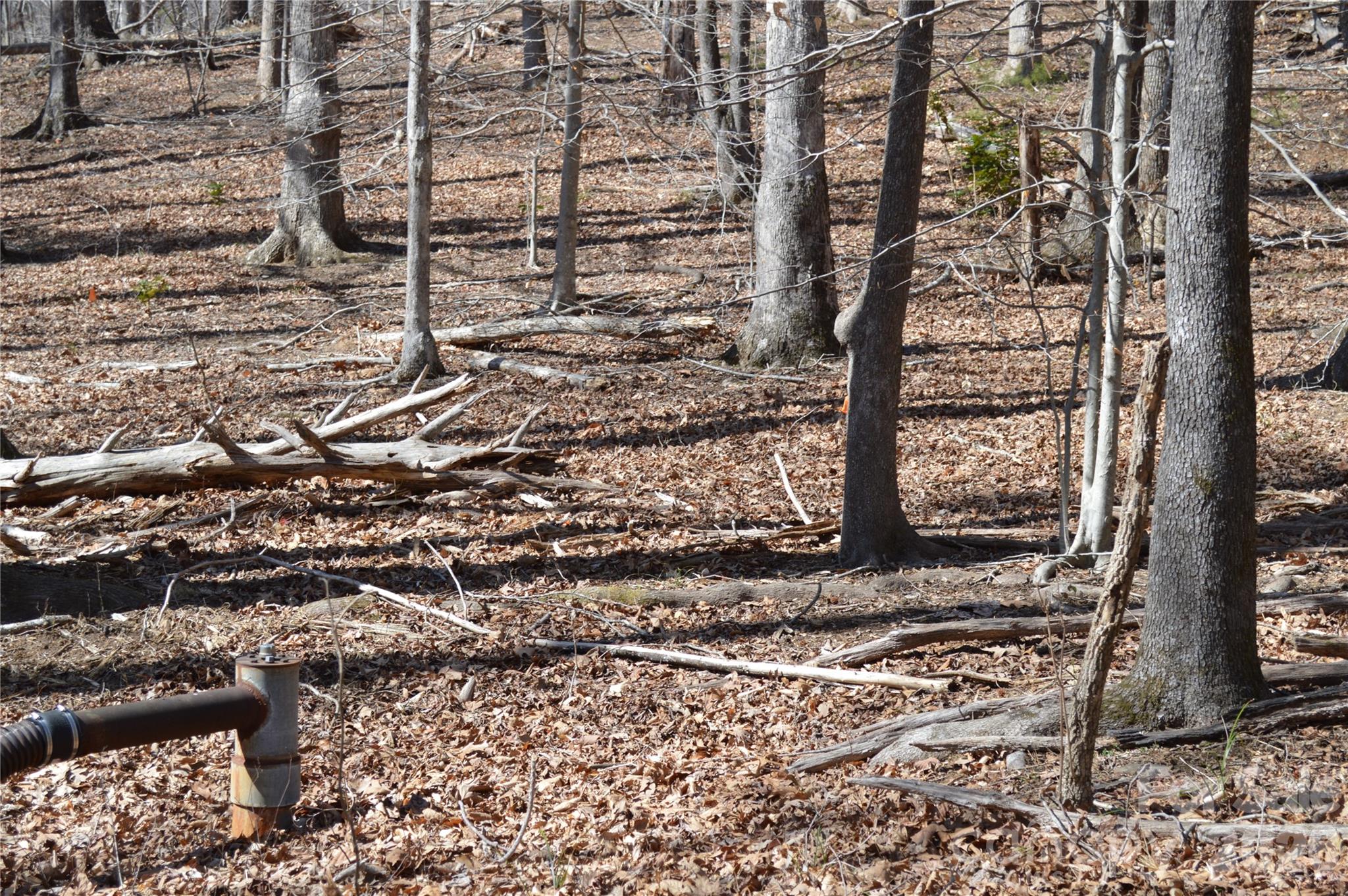 Mountain Shadows - Land