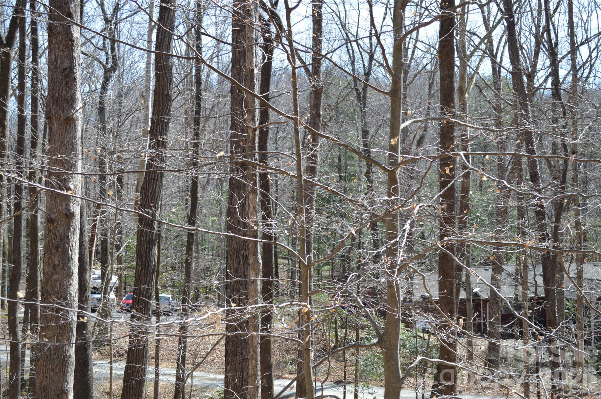 Mountain Shadows - Land