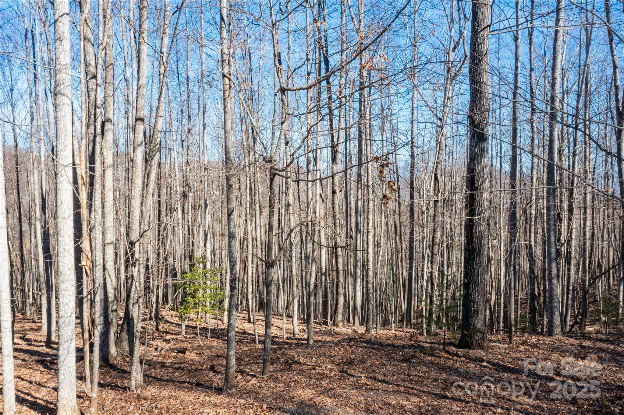 1306 Double KNob Drive