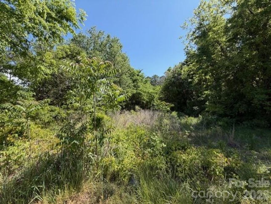 Endless possibilities await with this +/- .16 acre wooded parcel, offering a natural setting and the perfect place to design and create your vision from the ground up.