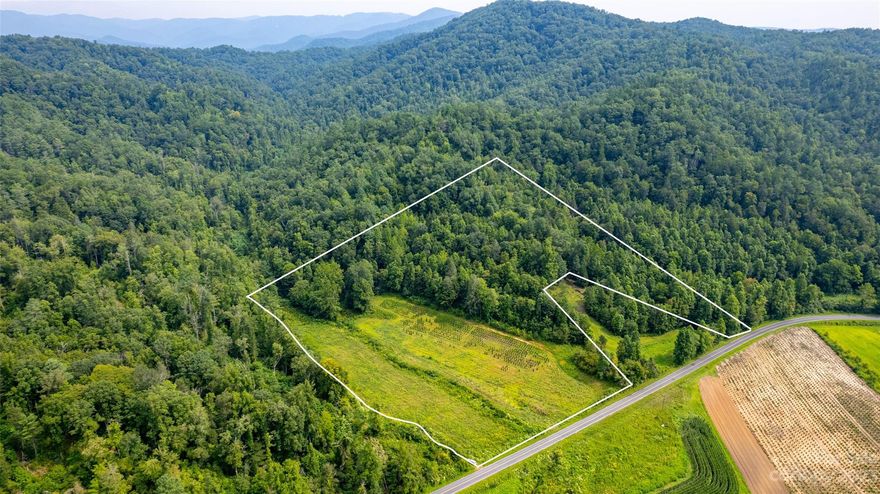 Lot 15 out of 20 recently surveyed parcels. 10.97 UNRESTRICTED acres of natural beauty conveniently located 15 miles from Downtown Blowing Rock and all of it's amenities! Off the paved state Hwy 90, this parcel has multiple, easy build sites. 4 +/- acres are already cleared. A nursery had this lot leased up until April 23. Some trees remain on the lot. With its mountain views and tranquil atmosphere, this property offers the perfect escape from city life. Embrace the chance to create your own haven amidst the natural splendor of this property. This hidden gem is a true sanctuary, offering a retreat from the digital world allowing you to fully disconnect and enjoy the serenity of your surroundings. Follow the AWD/4WD road (or walk) right to the property line. Property lines are marked. 13 miles from Brown Mountain OHV 34 mile trail system! This area is part of the internet rural initiative and will be getting fiber optic in the future. Road improvement coming soon!