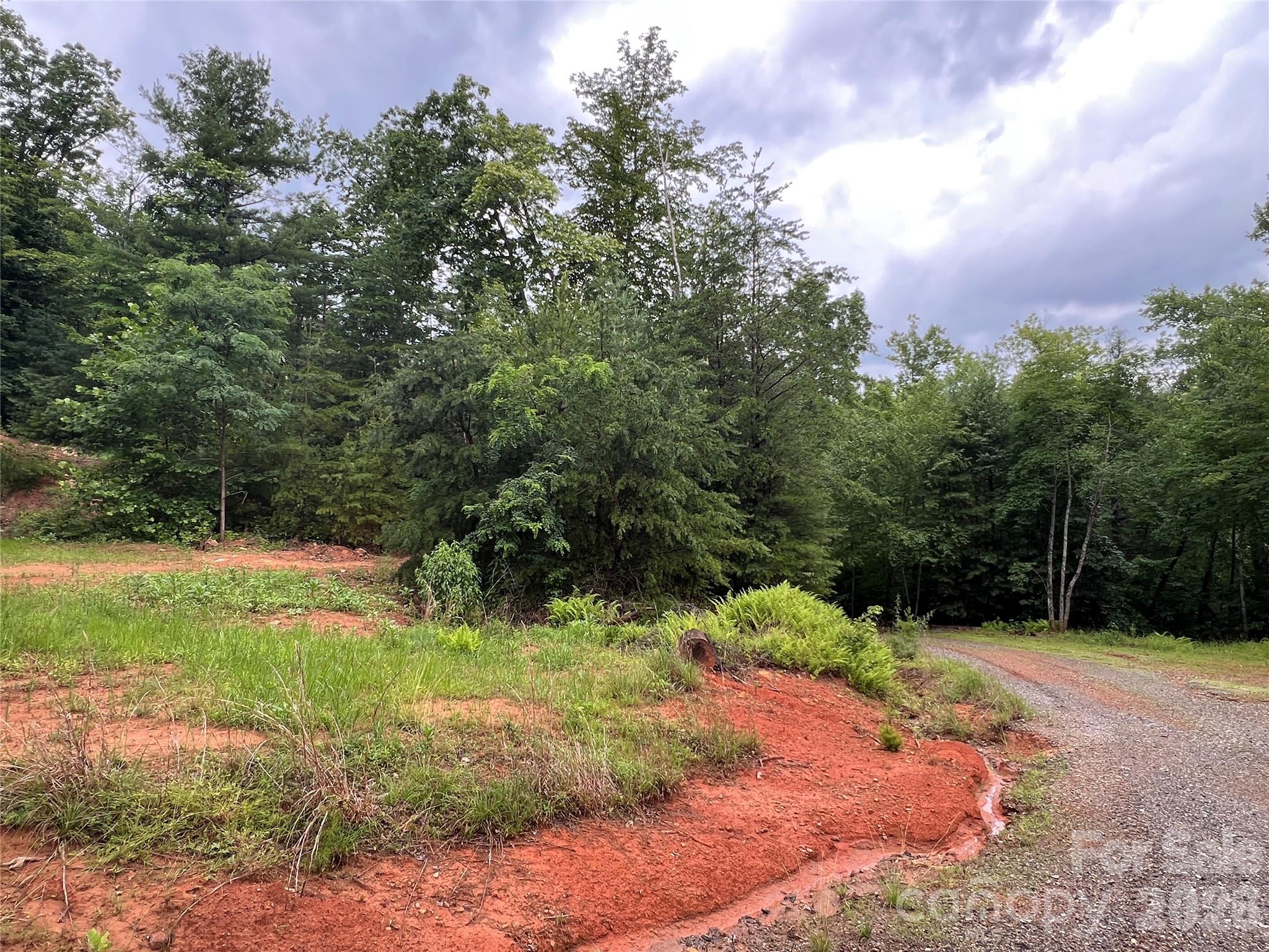 Buck Mountain - Land