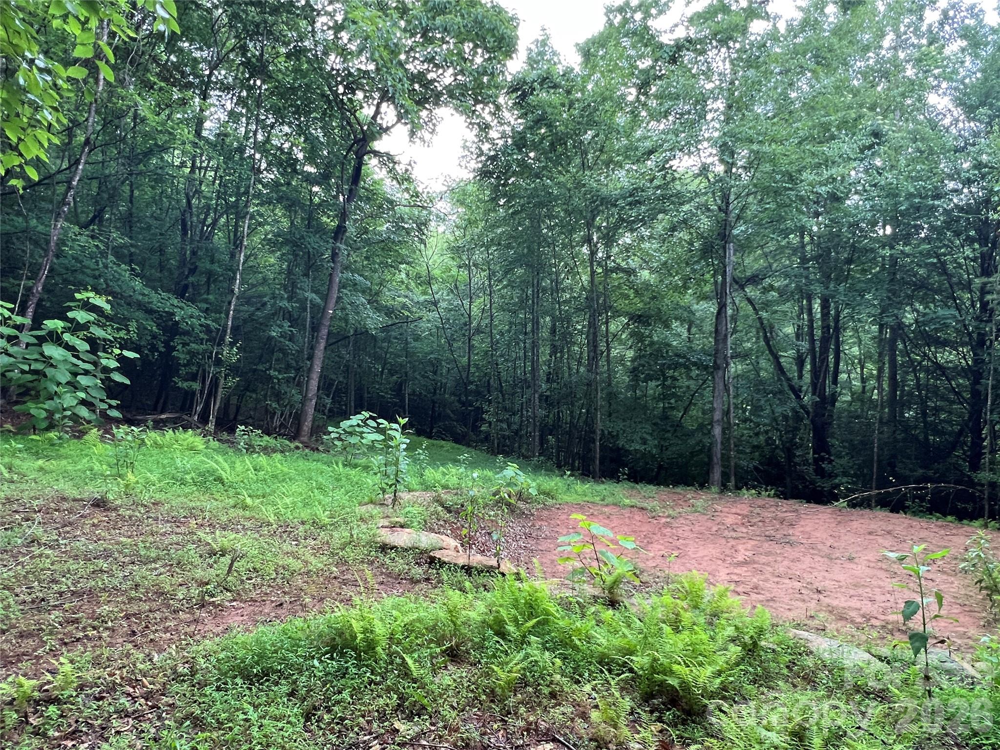 Buck Mountain - Land