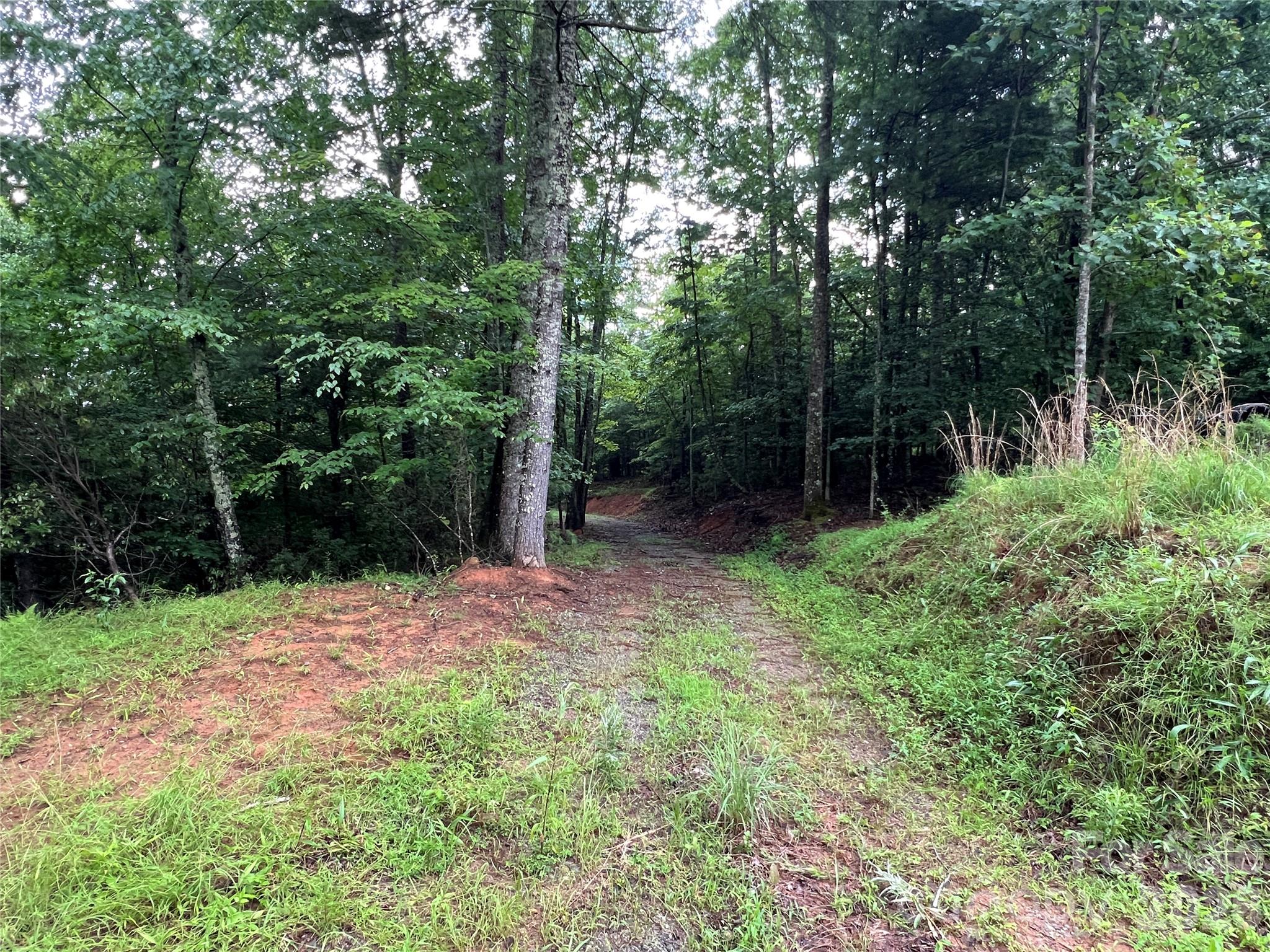 Buck Mountain - Land