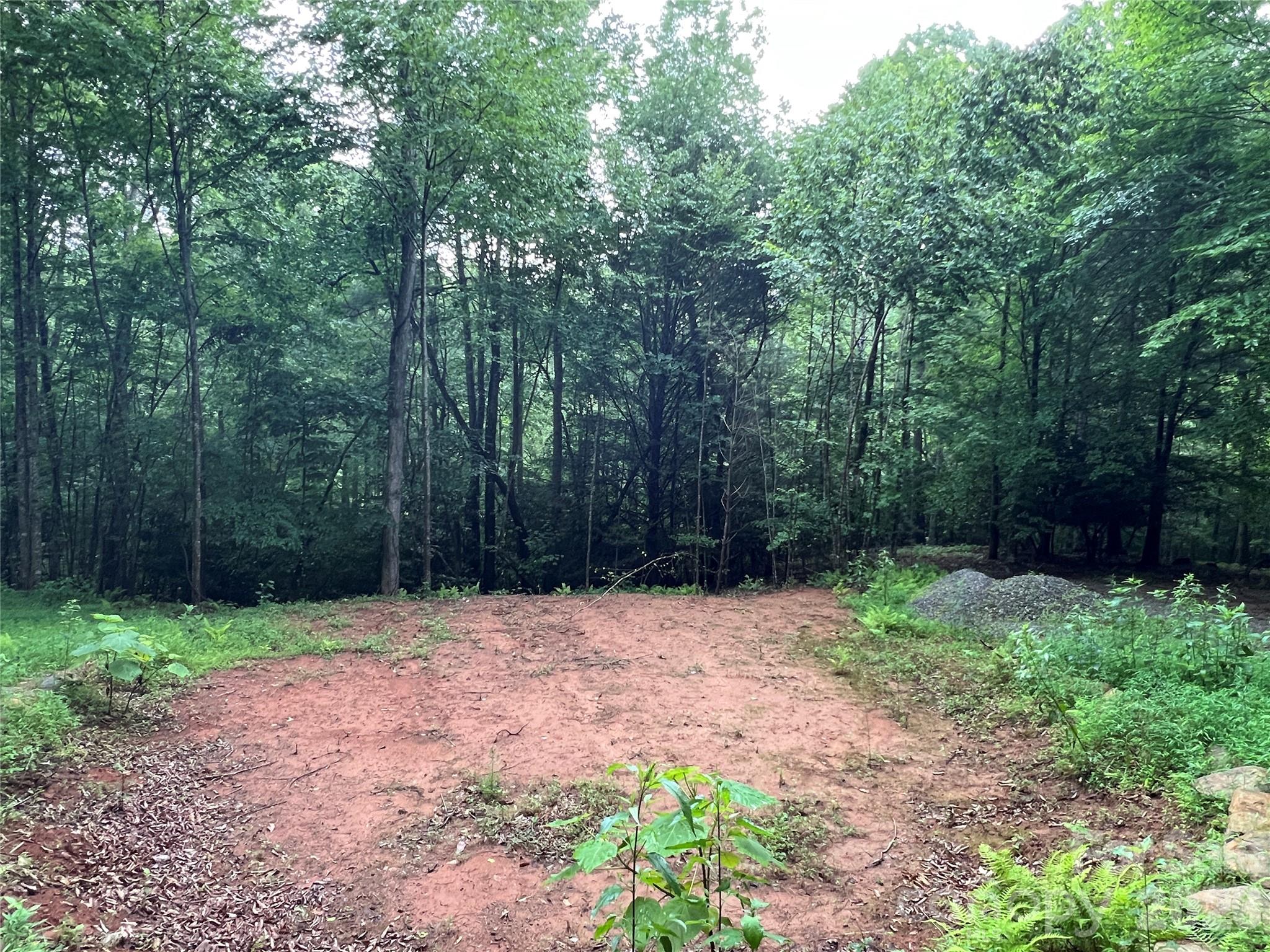 Buck Mountain - Land