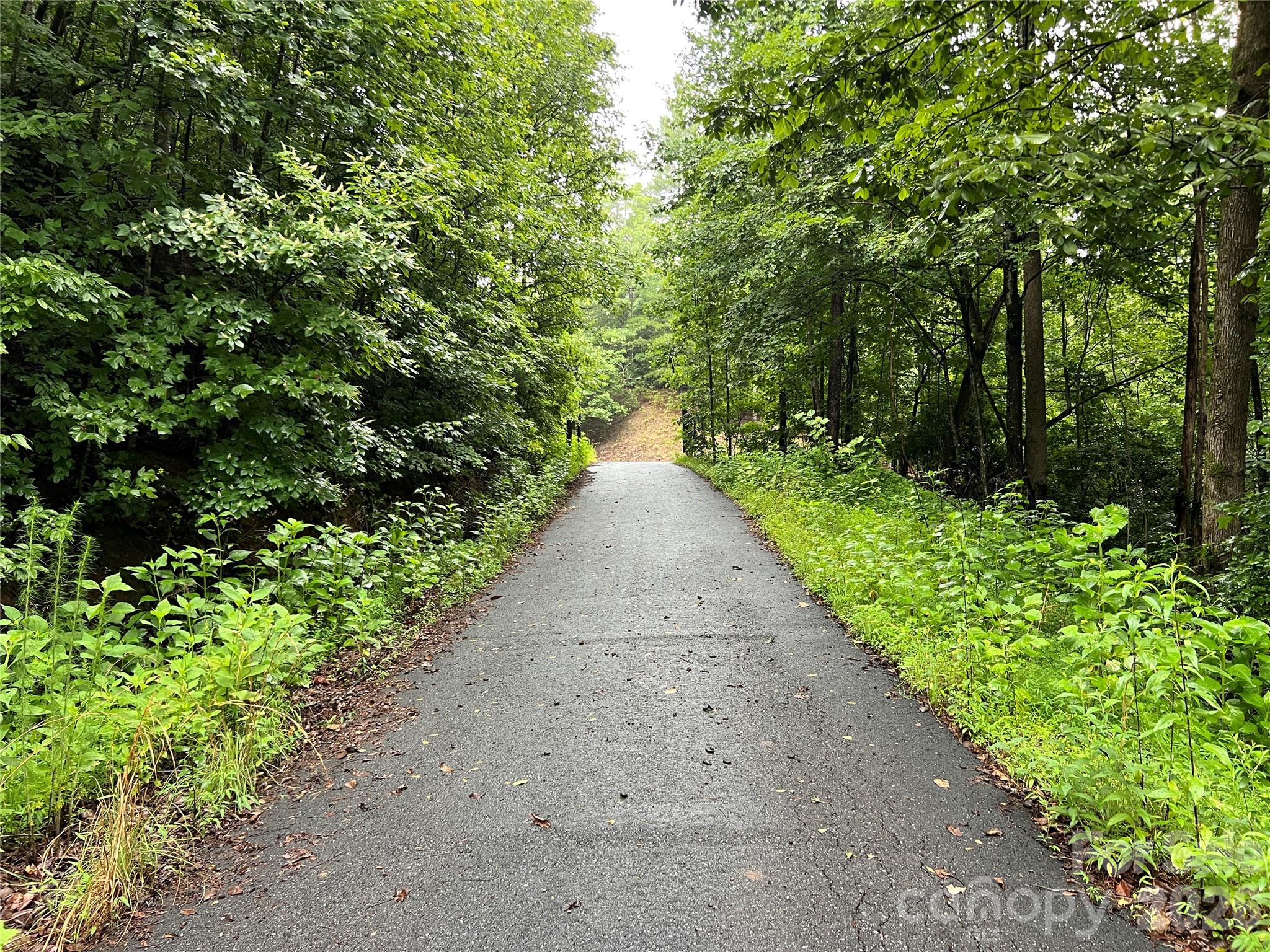 Buck Mountain - Land