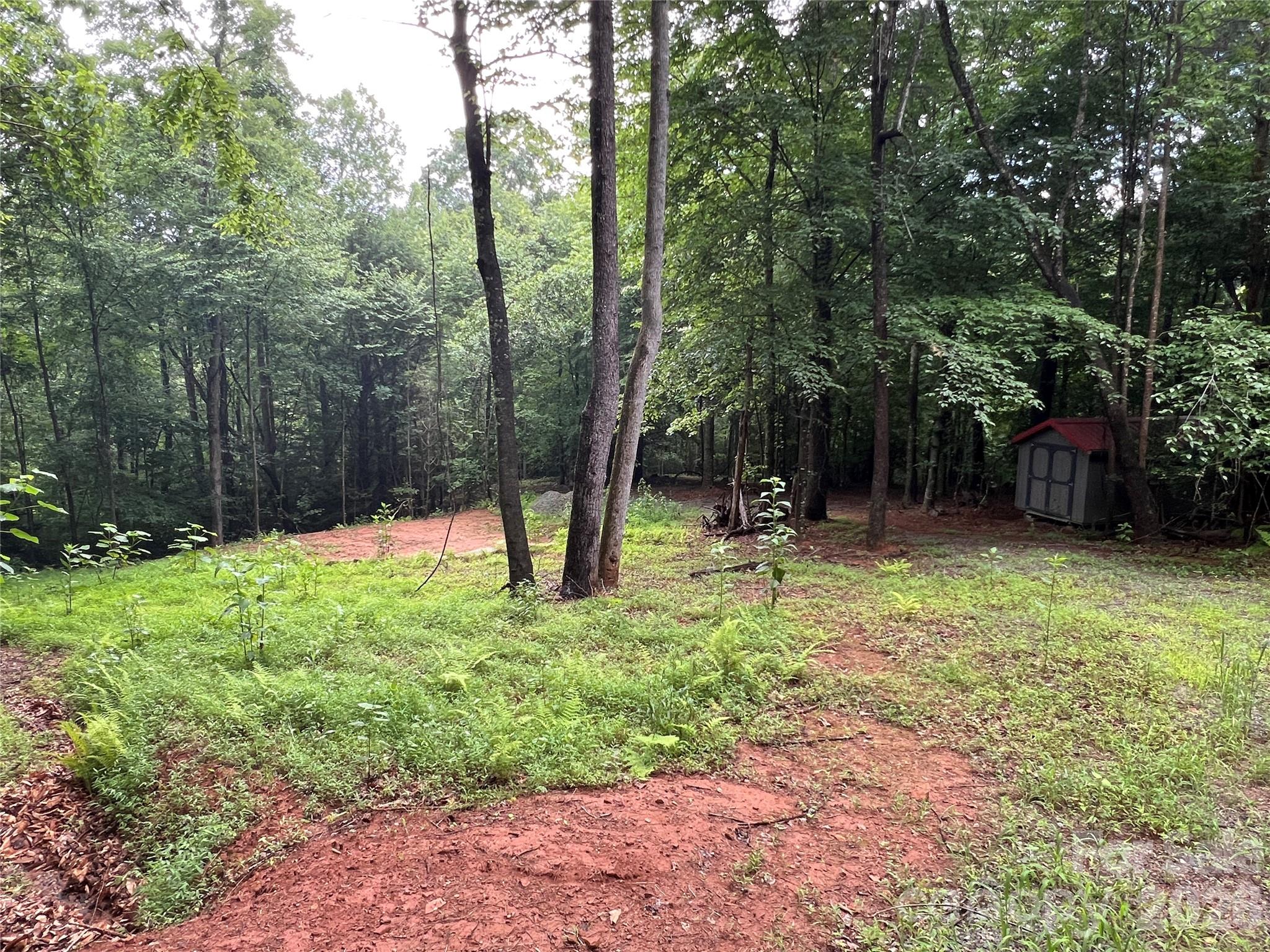 Buck Mountain - Land