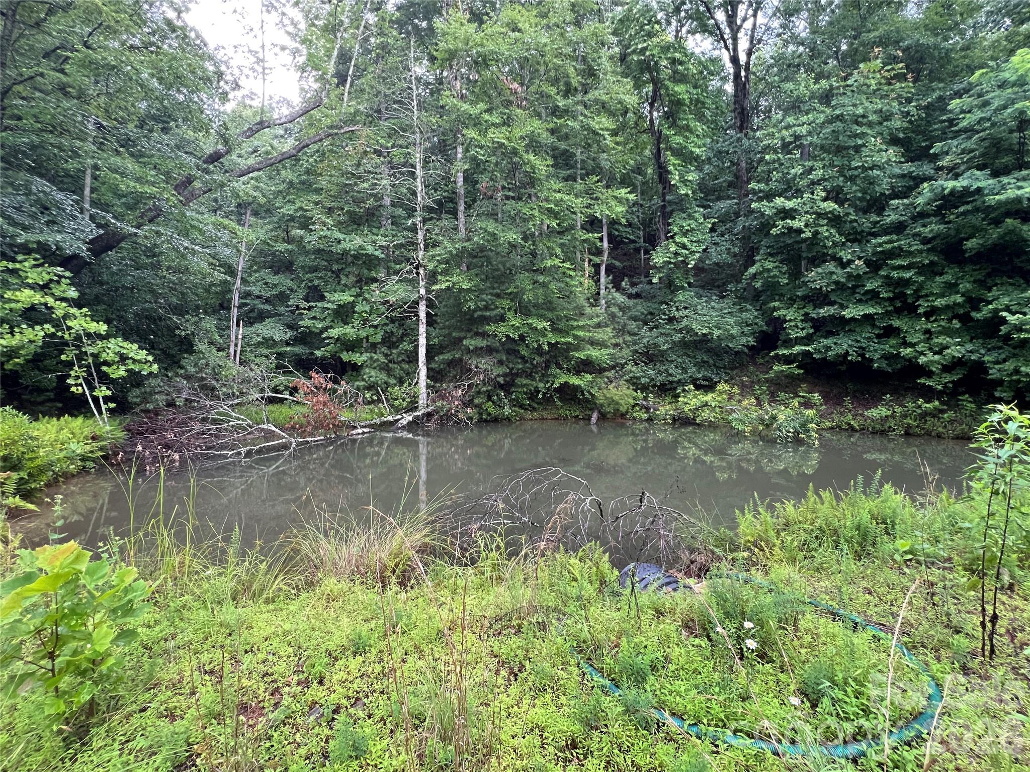 Buck Mountain - Land