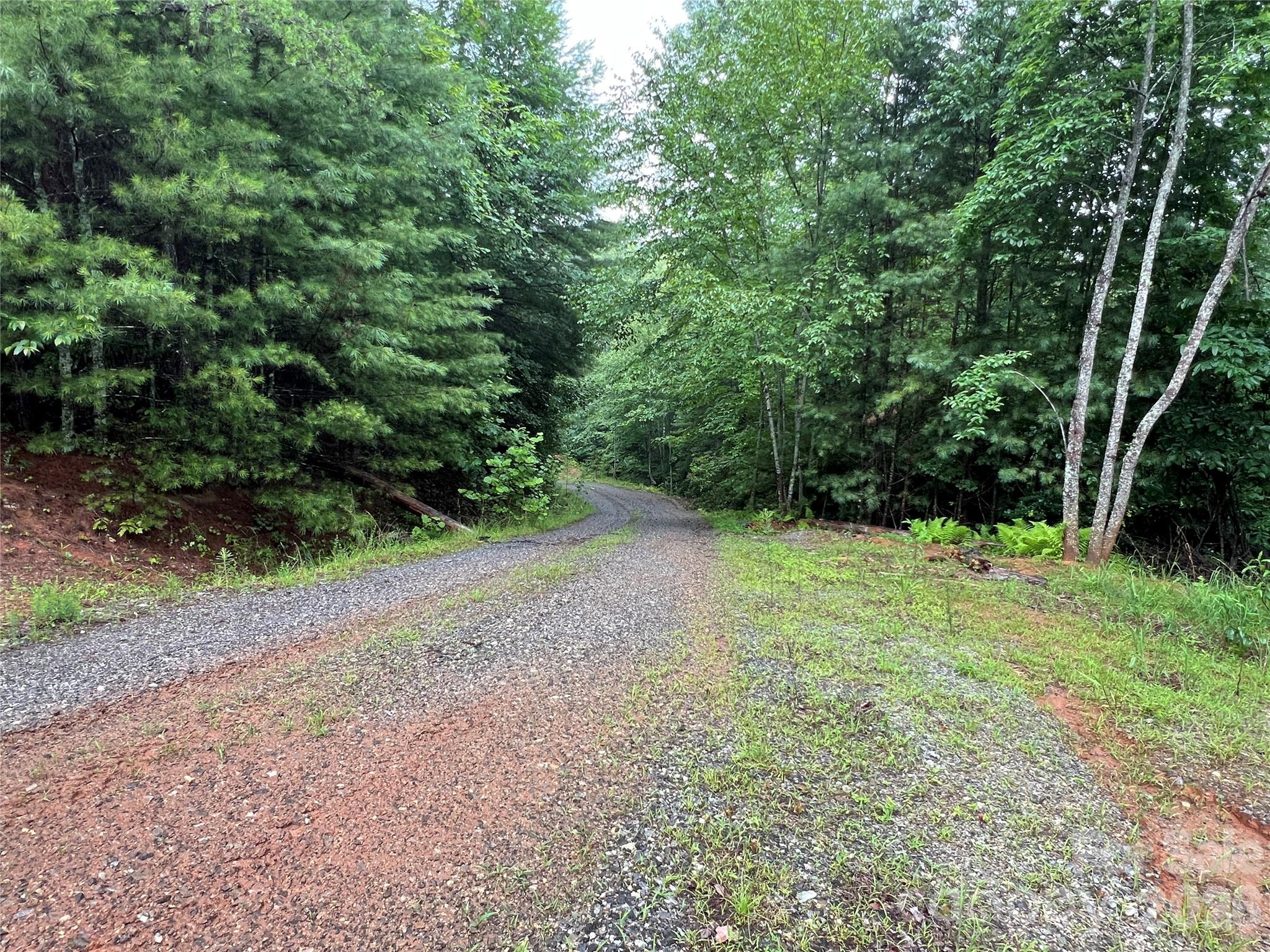 Buck Mountain - Land