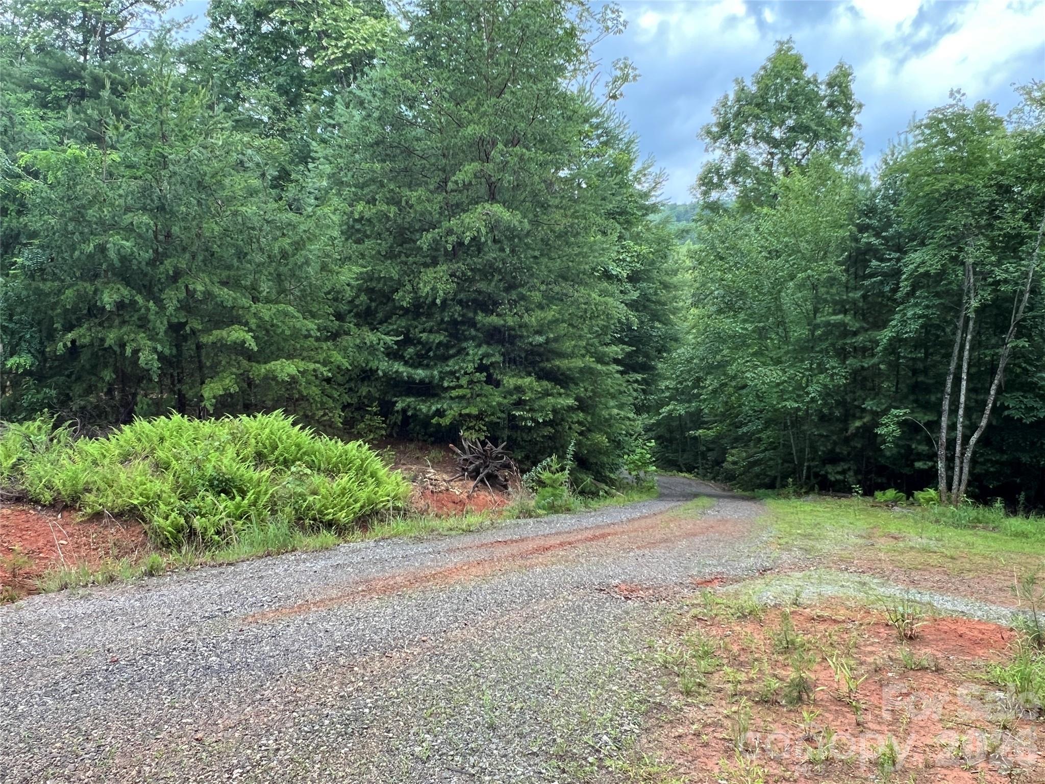 Buck Mountain - Land