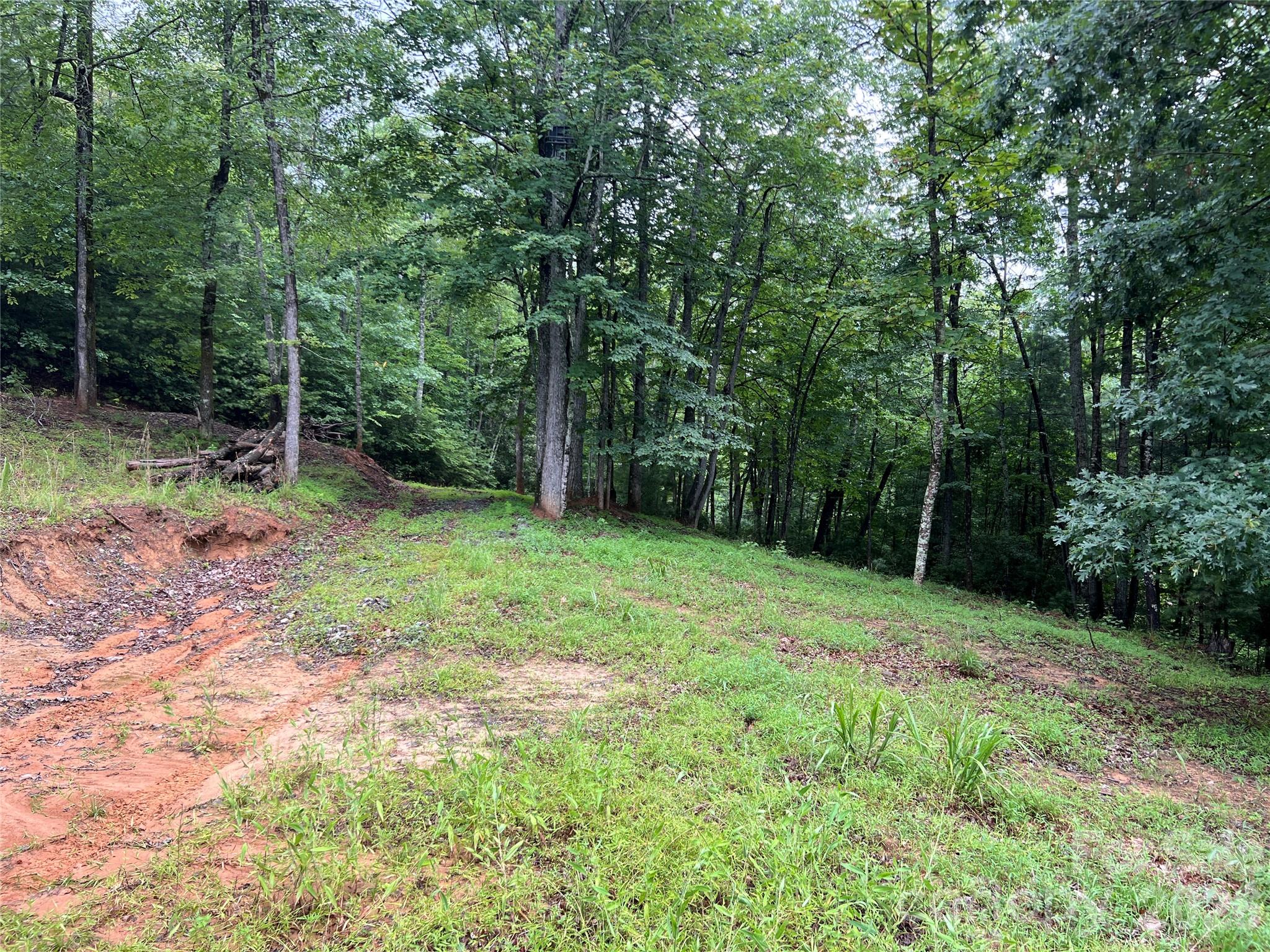 Buck Mountain - Land