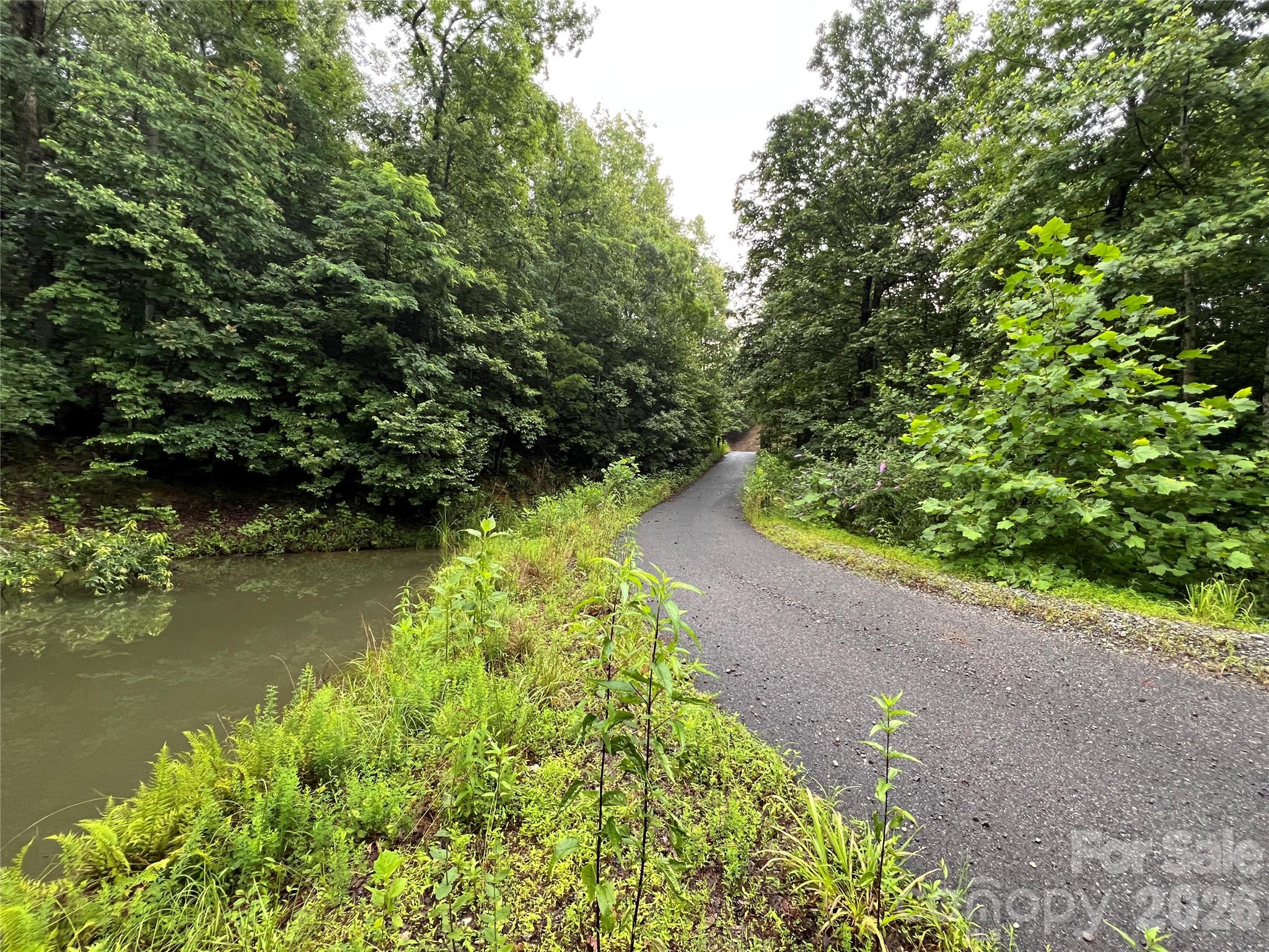 Buck Mountain - Land