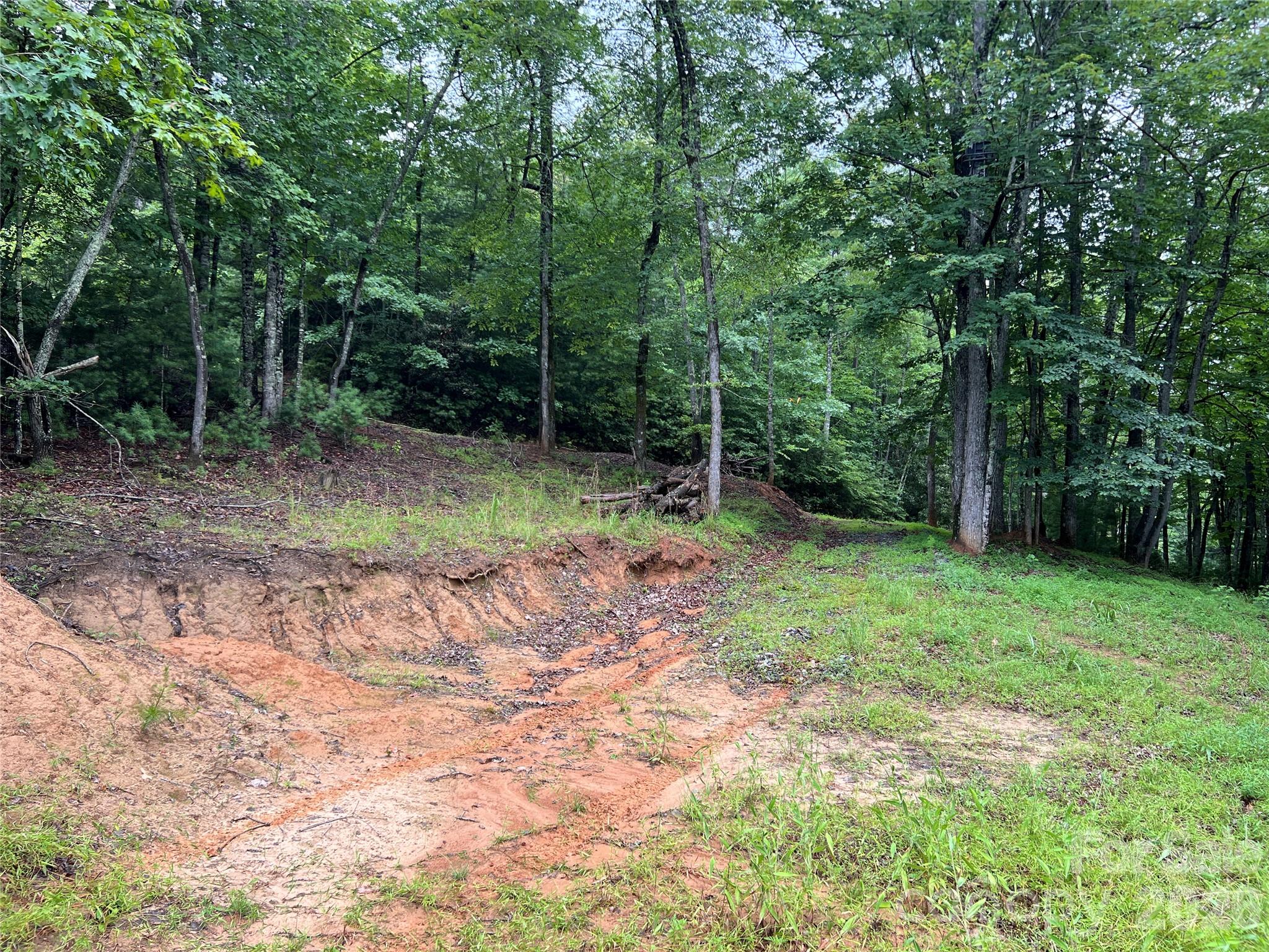 Buck Mountain - Land