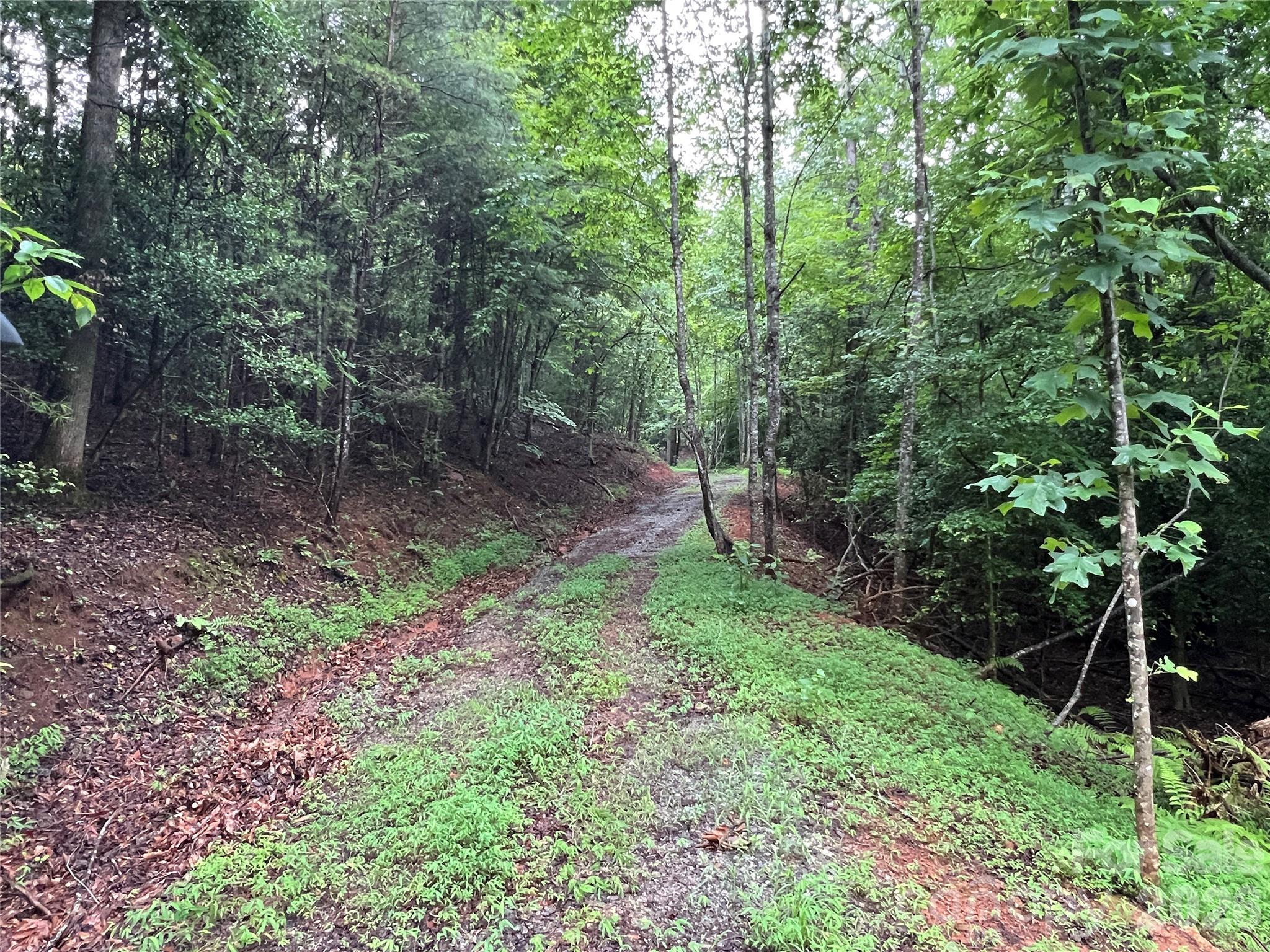 Buck Mountain - Land