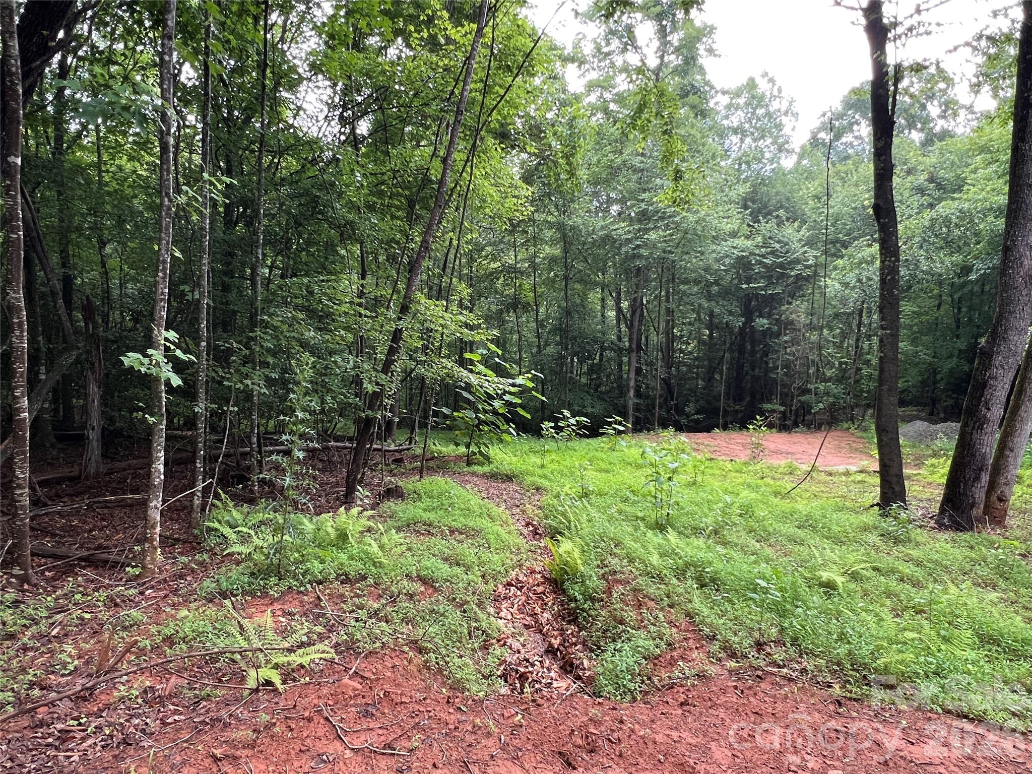 Buck Mountain - Land