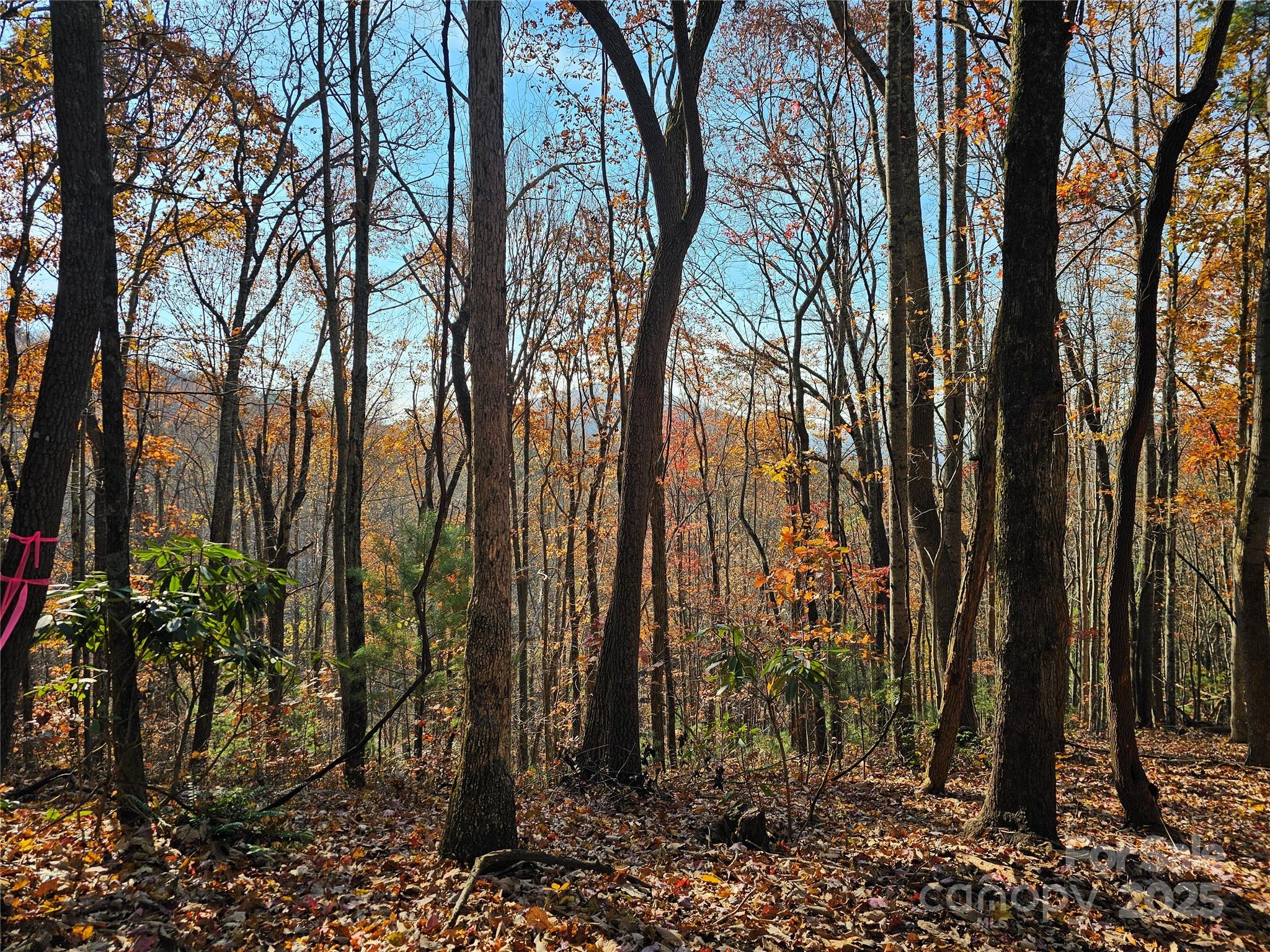 9999-13 Bob Barnwell Road