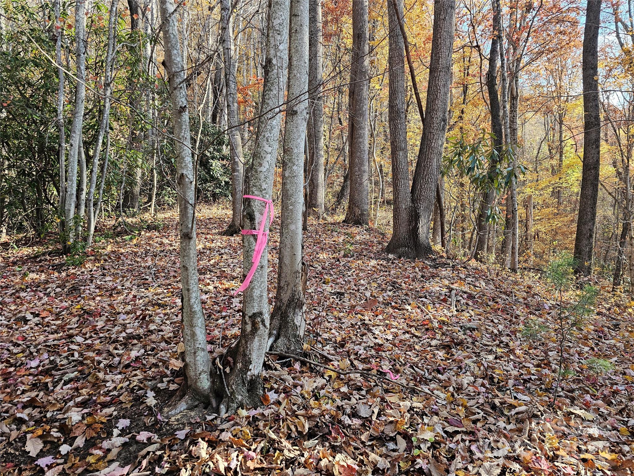 9999-13 Bob Barnwell Road