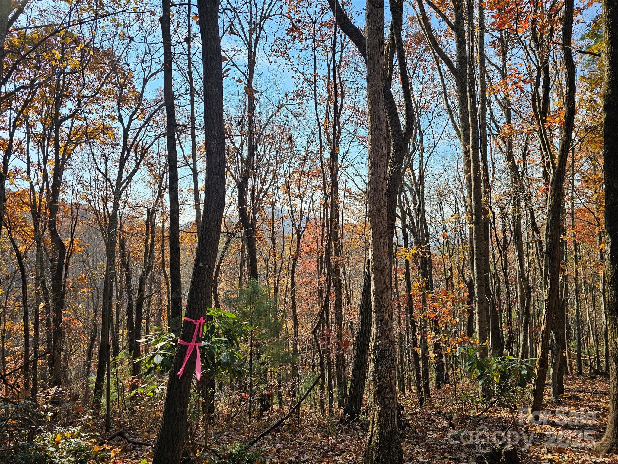 9999-13 Bob Barnwell Road