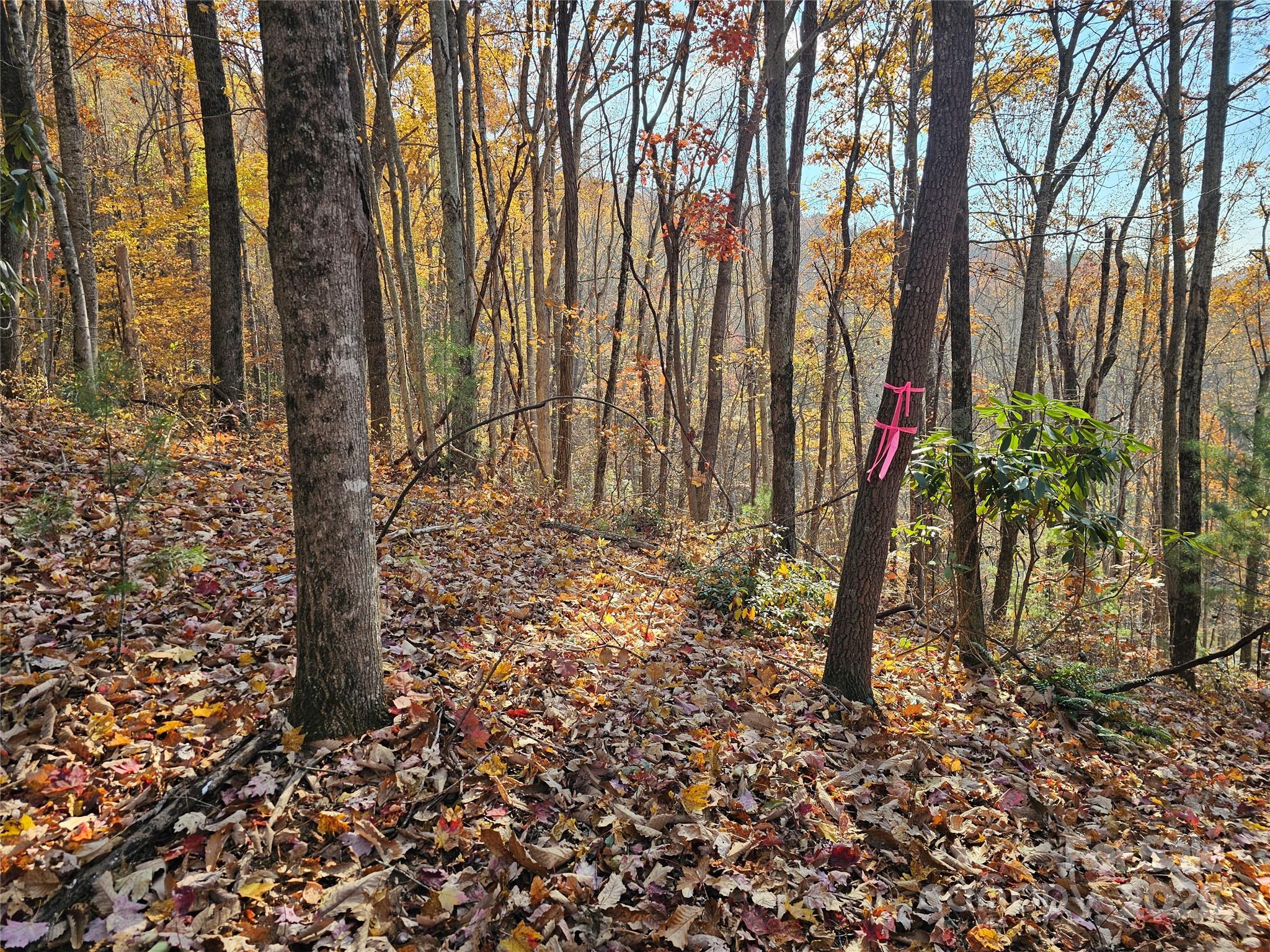 9999-13 Bob Barnwell Road