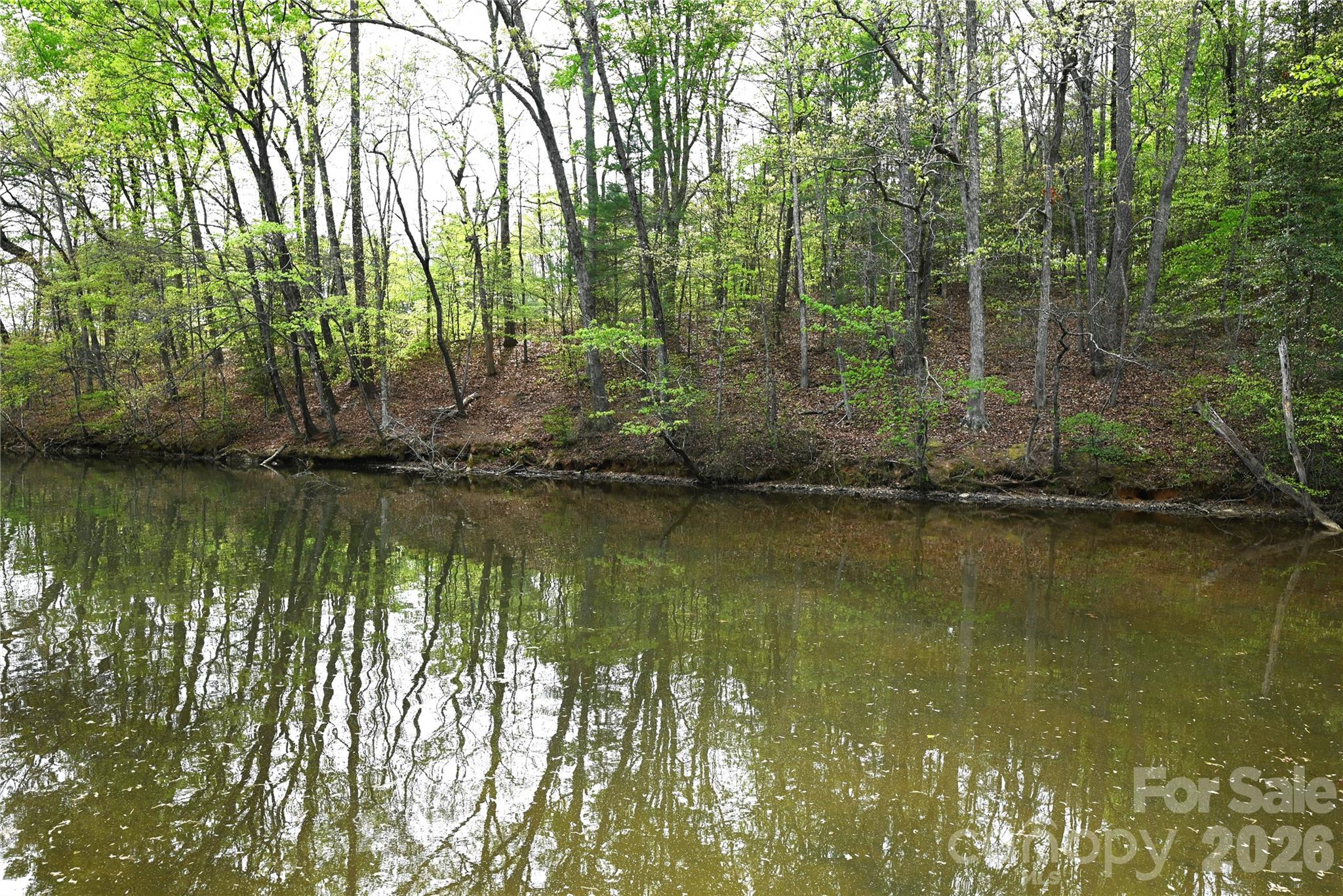 Dusty Ridge - Residential