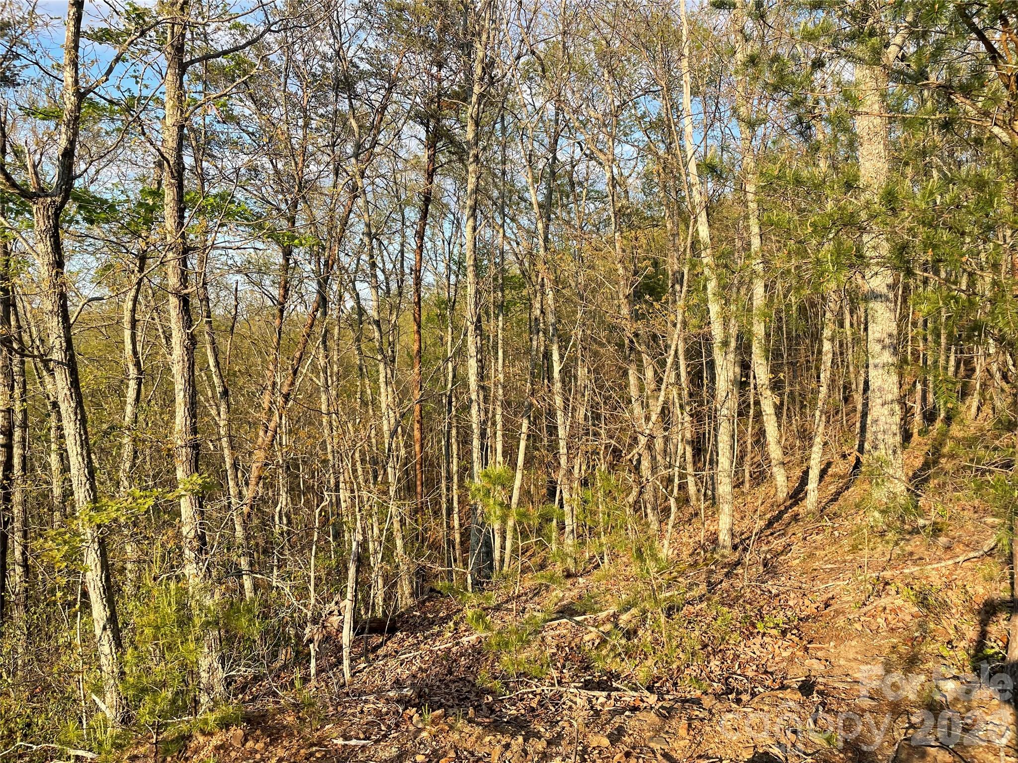 South Mountain Peaks - Land