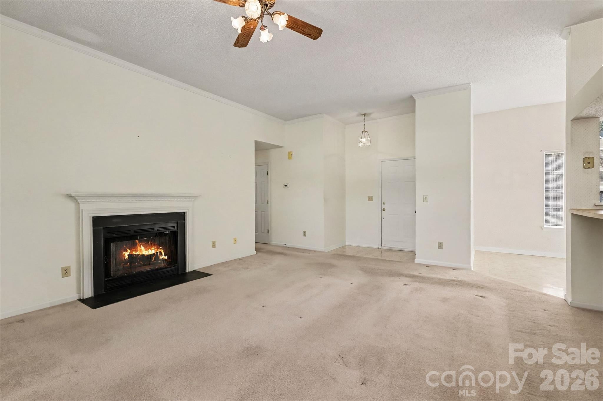 5929 Old Meadow Road