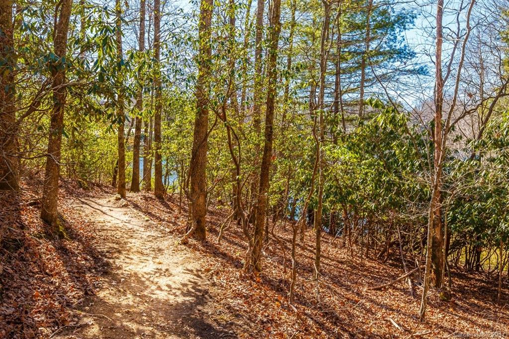 Connestee Falls - Residential