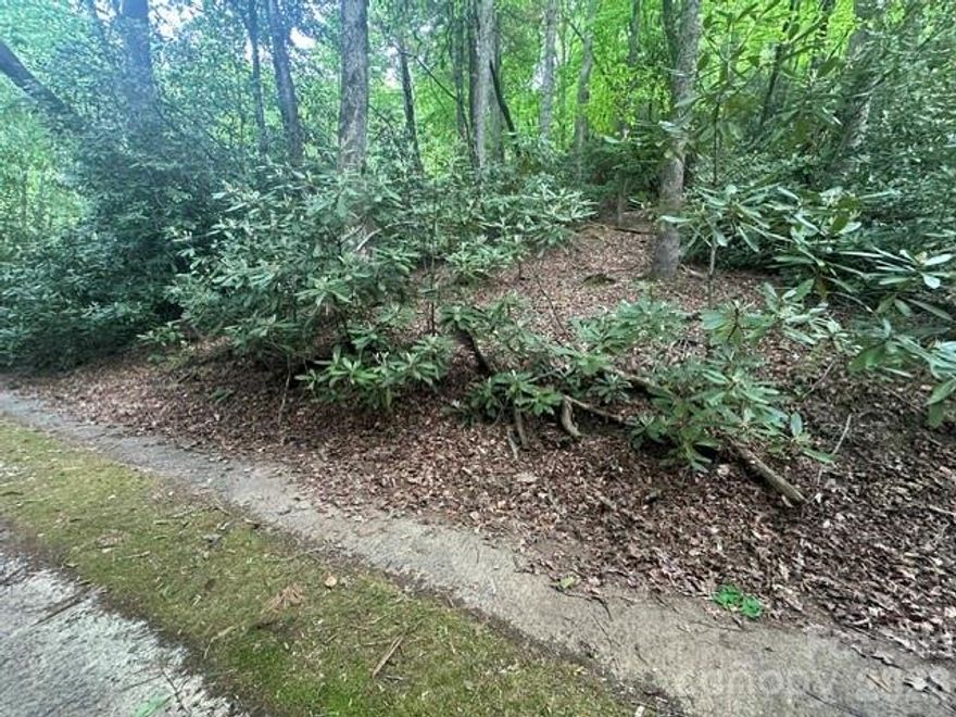 Build your mountain retreat in the desirable Glen Cannon community.  This beautiful .74-acre lot offers the perfect blend of privacy, convenience, and outdoor adventure.  A 20-foot right-of-way driveway is already in place, providing access to your future build site and making it easier to bring your vision to life.  Enjoy being just minutes from charming downtown Brevard, known for its local shops, restaurants, breweries, and a vibrant arts scene.  Outdoor enthusiasts will love the close proximity to both Pisgah National Forest and DuPont State Forest, offering endless opportunities for hiking, biking, waterfalls, fishing, and exploring the natural beauty of Western North Carolina.  Whether you are planning a full-time residence or mountain getaway, this property offer an exceptional opportunity to create a home surrounded by nature while still being close to everyday conveniences.
