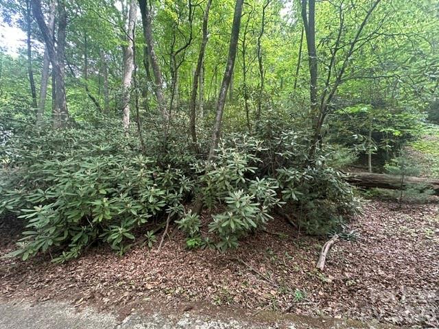 TBD Glen Cannon Drive 5-B