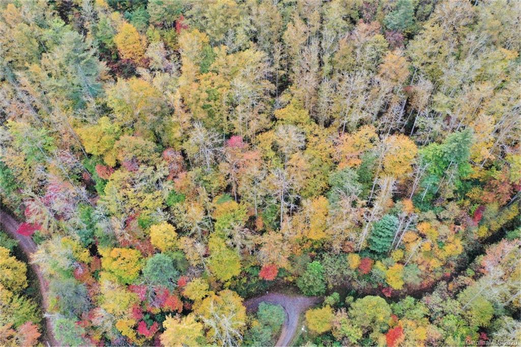 Mountain Forest Estates - Land