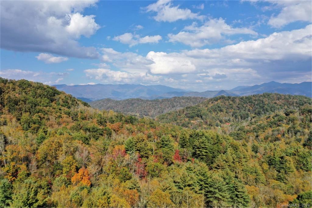 VL40 Mountain Forest Estates None 40