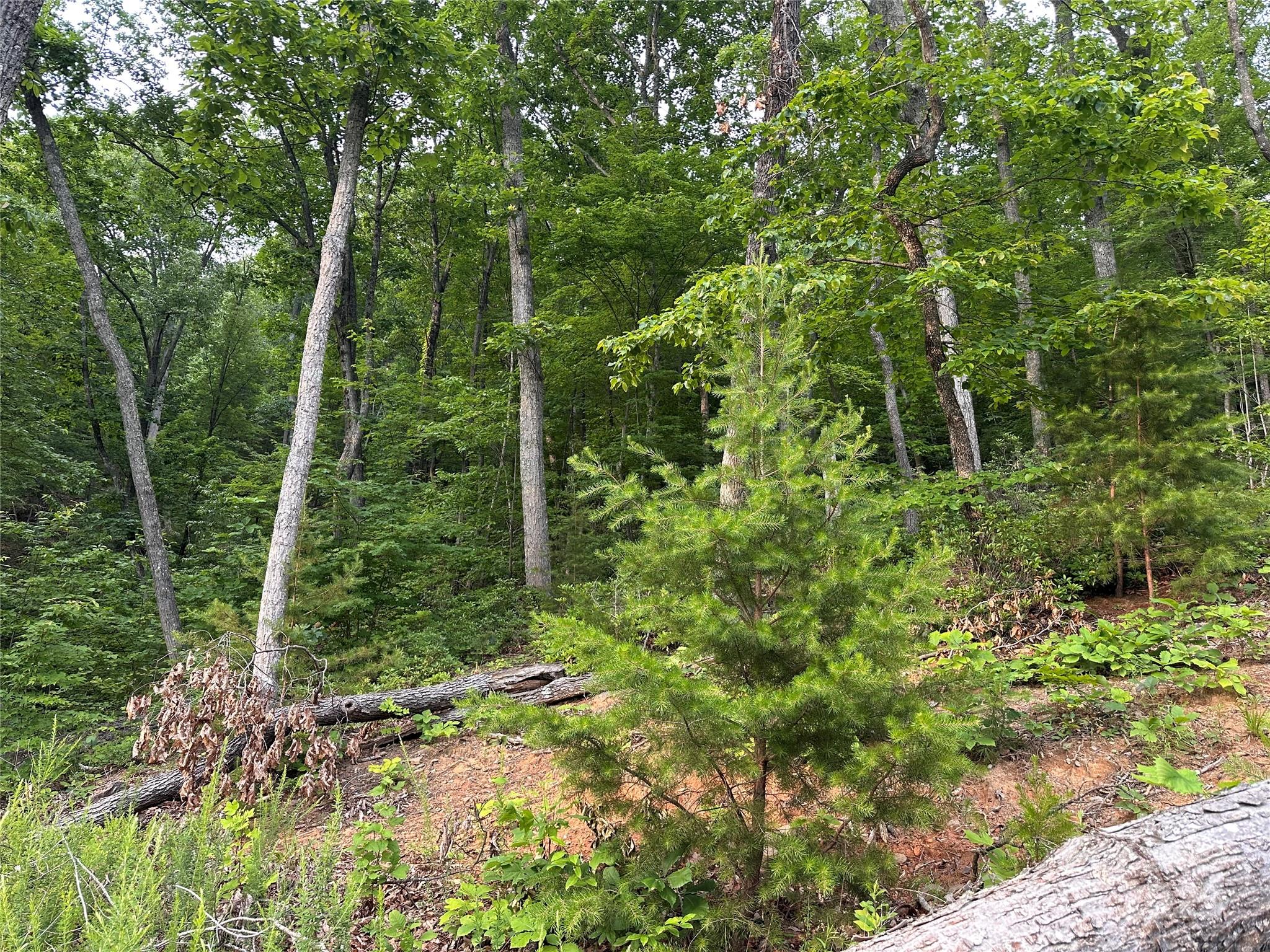 0 Golden Ridge Drive